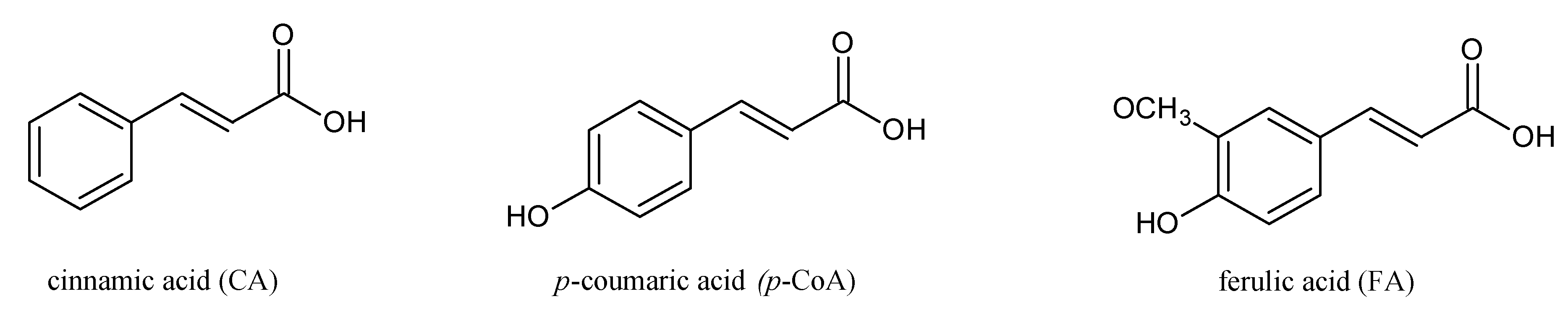 Membranes 10 00343 g001
