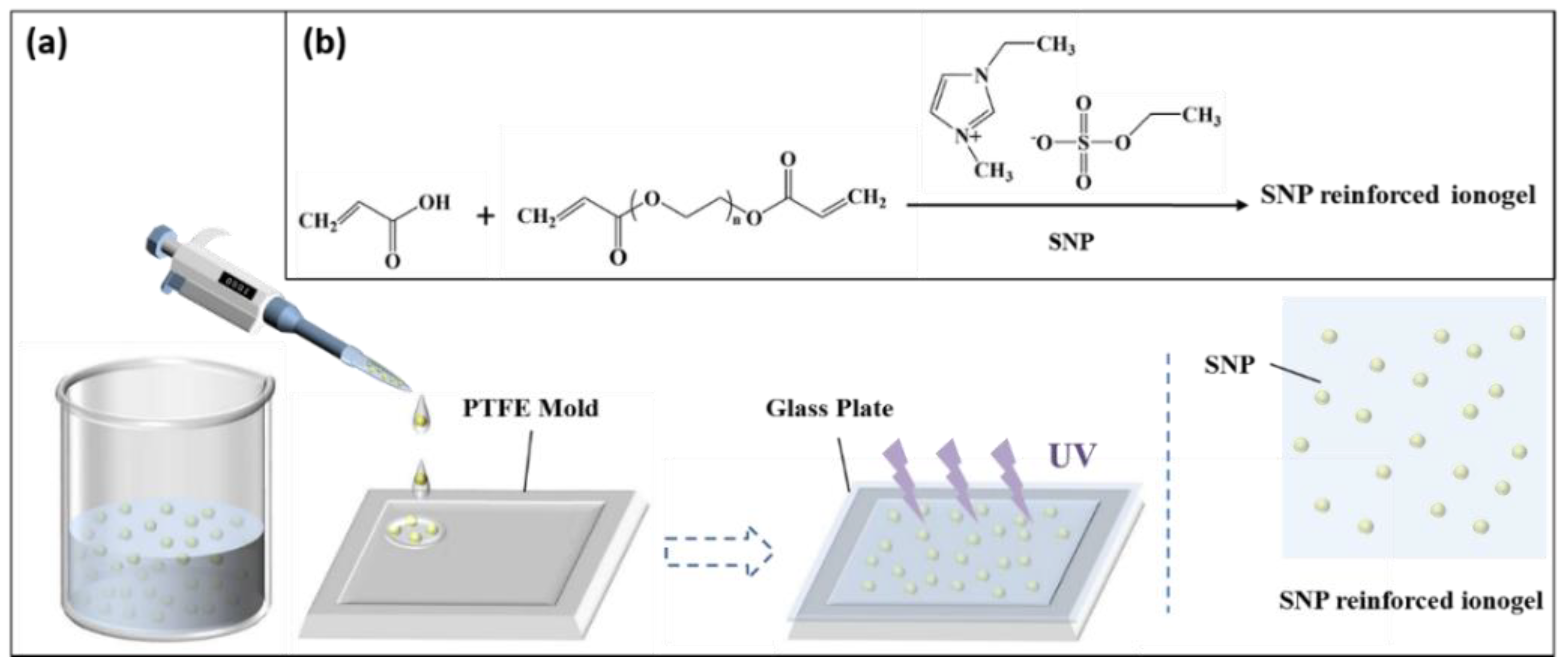 Membranes 10 00354 g001 Membranes 10 00354 g001