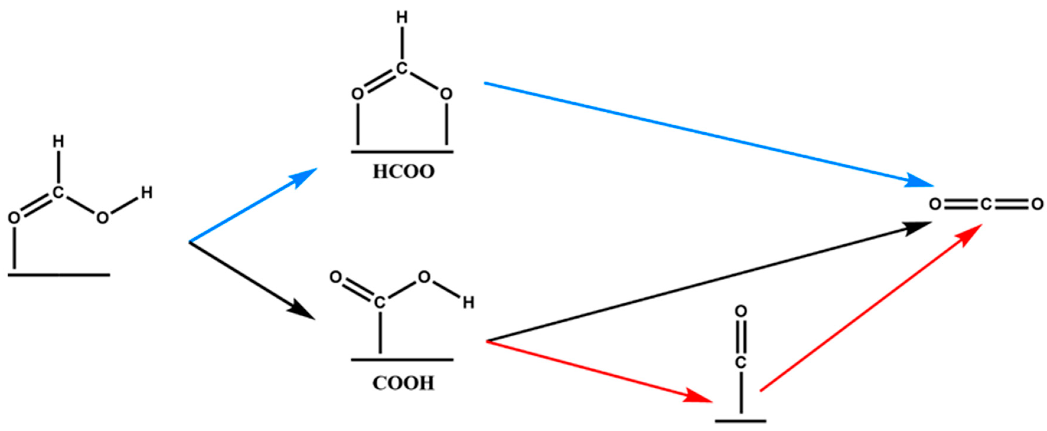 Membranes 10 00355 g004 550