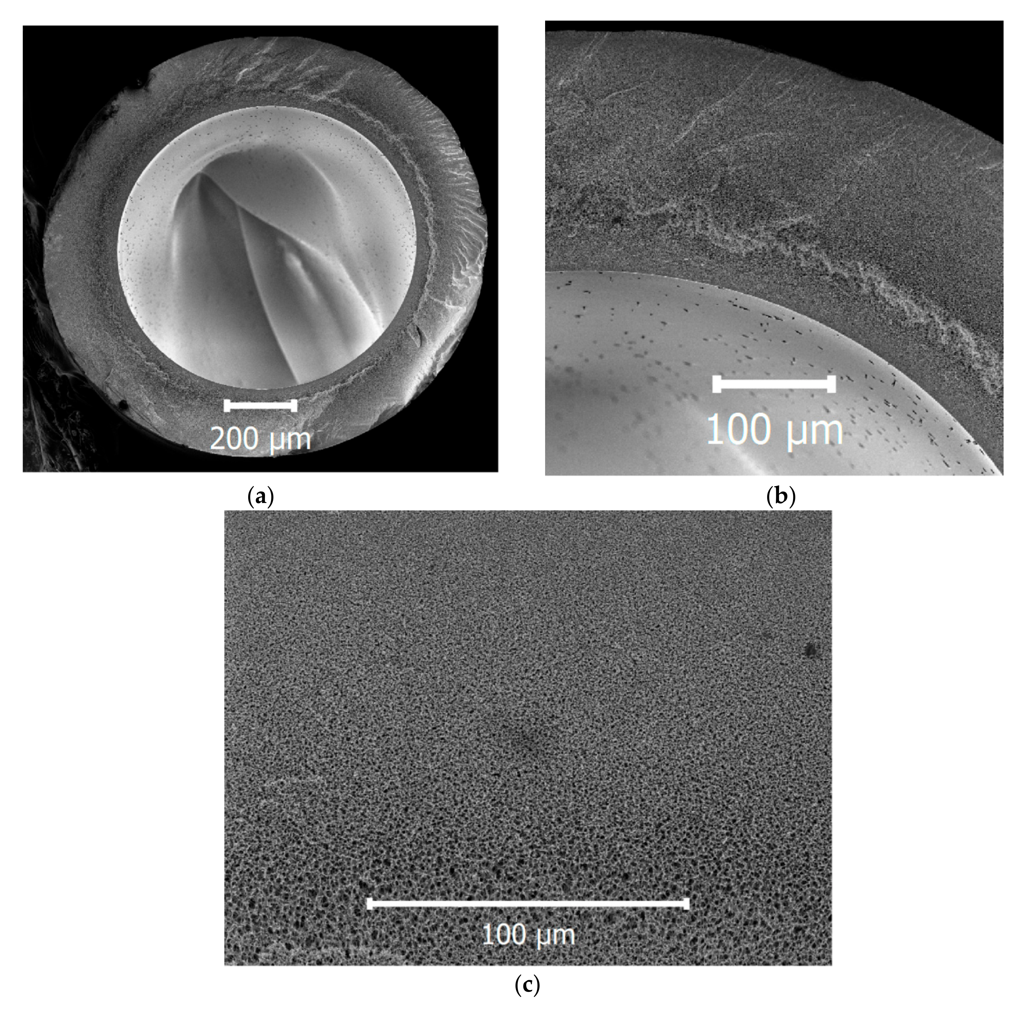 Membranes 10 00356 g001 Membranes 10 00356 g001