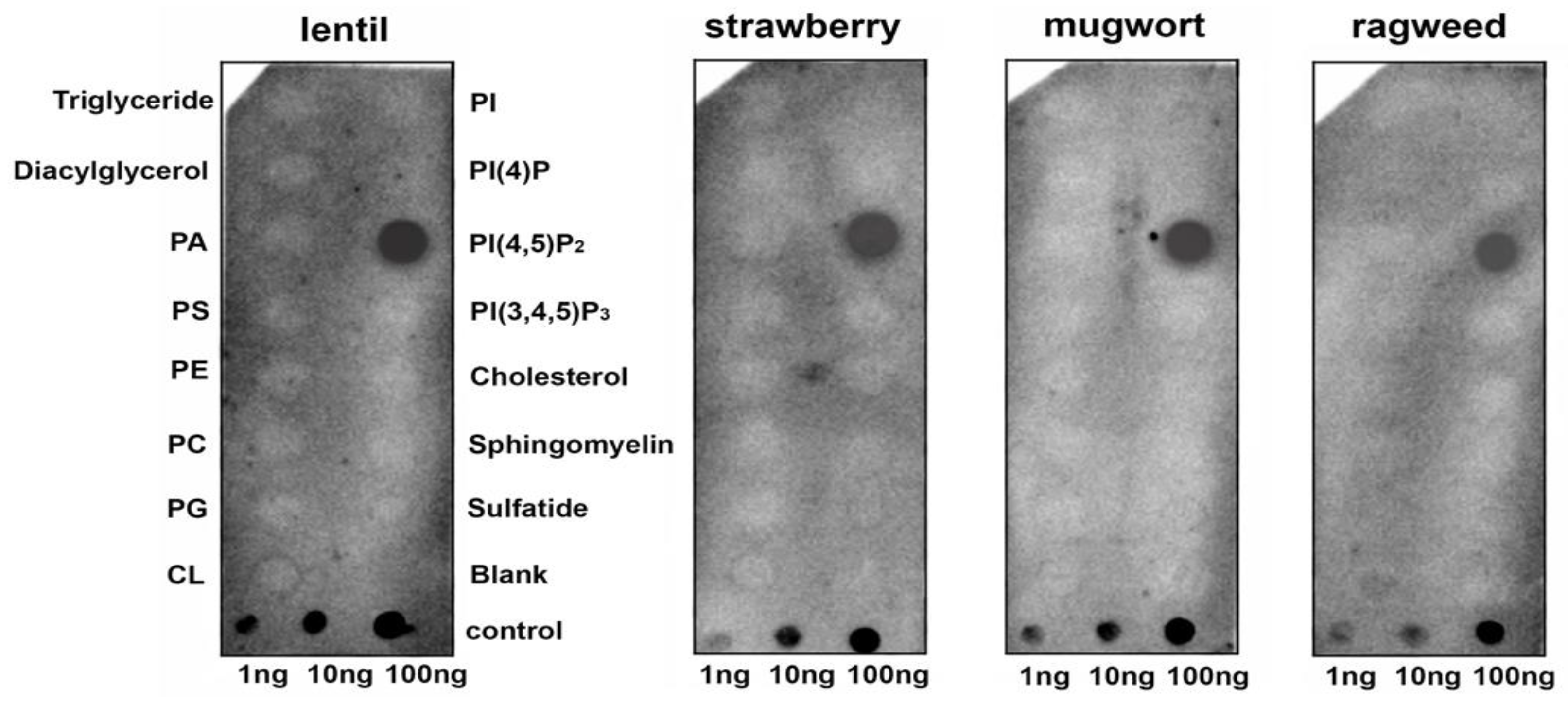 Membranes 10 00357 g001 Membranes 10 00357 g001