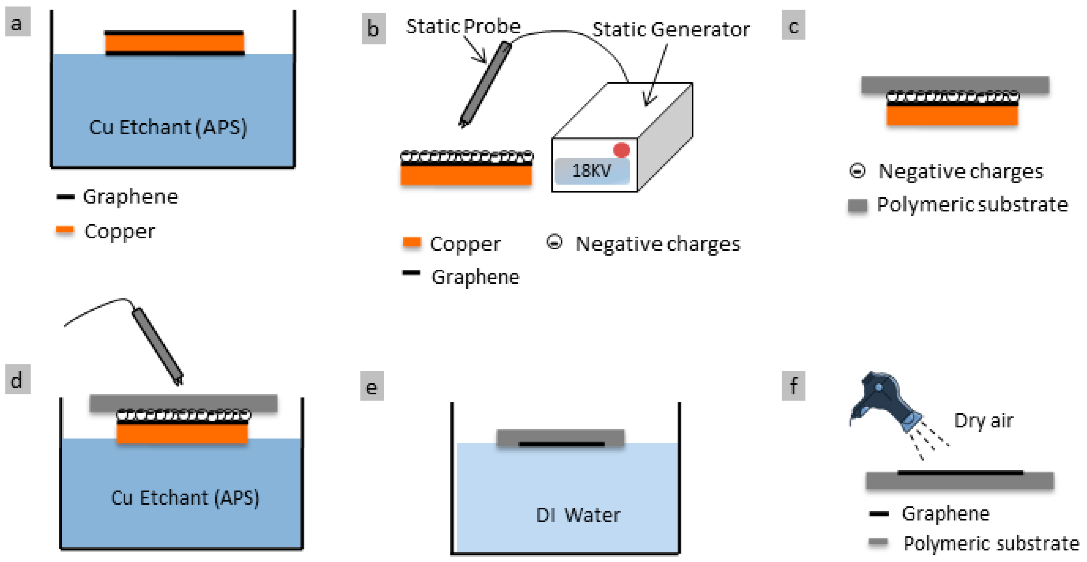 Membranes Free FullText Monolayer Graphene Transfer onto