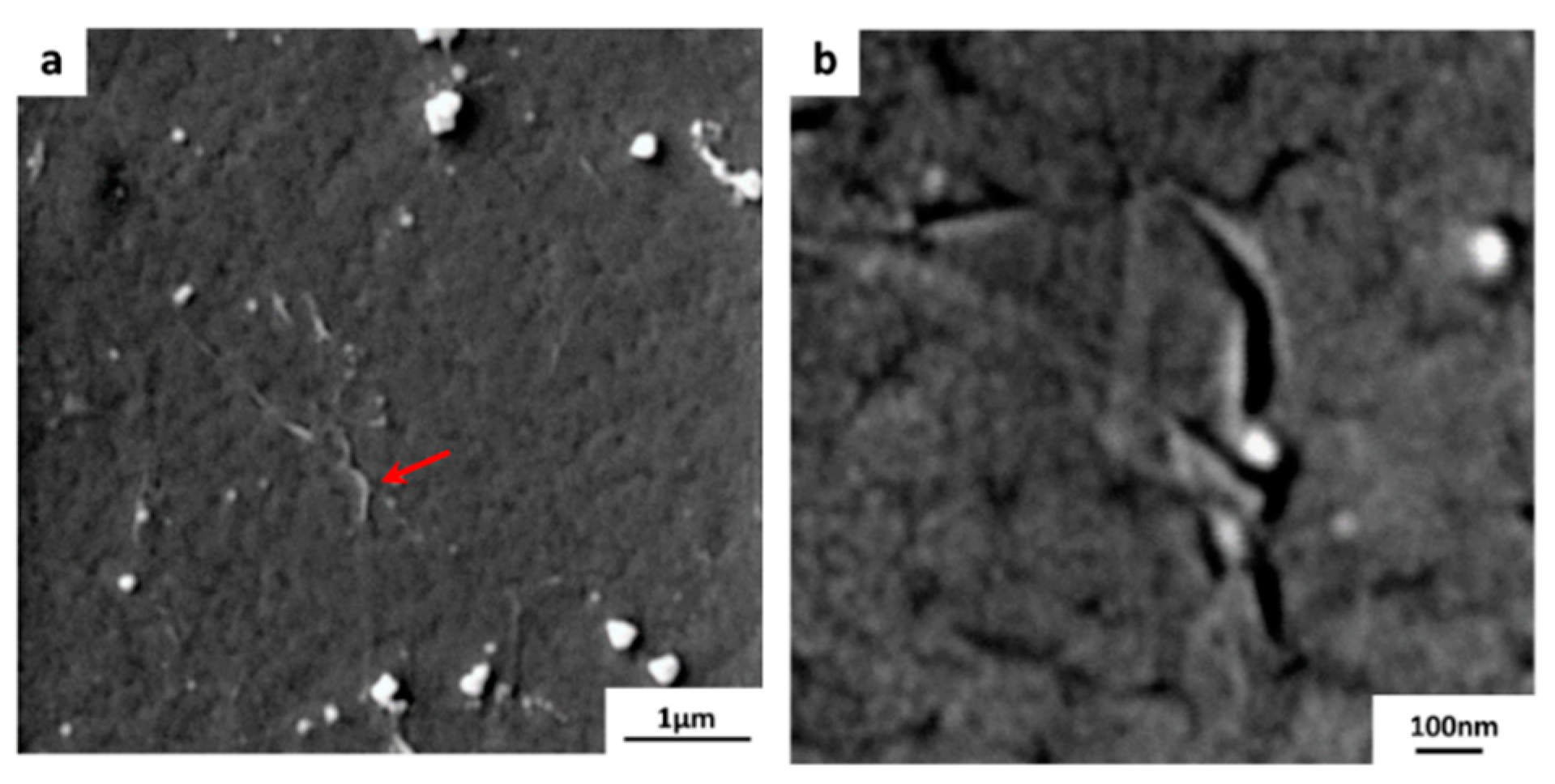 Membranes 10 00358 g006 Membranes 10 00358 g006