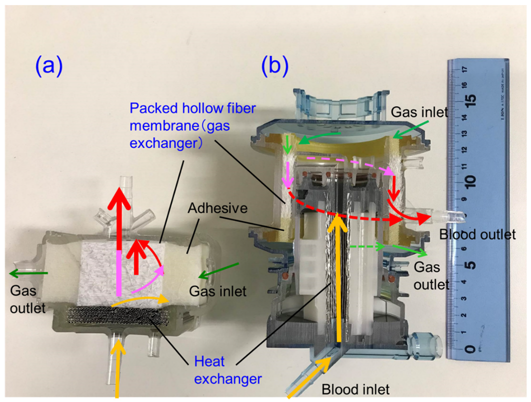 Membranes Free FullText Newly Developed Pediatric Membrane