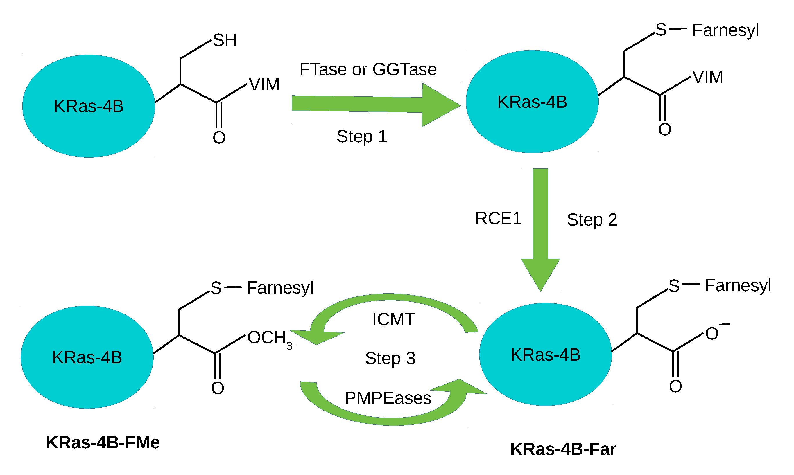 Membranes 10 00364 g001 Membranes 10 00364 g001