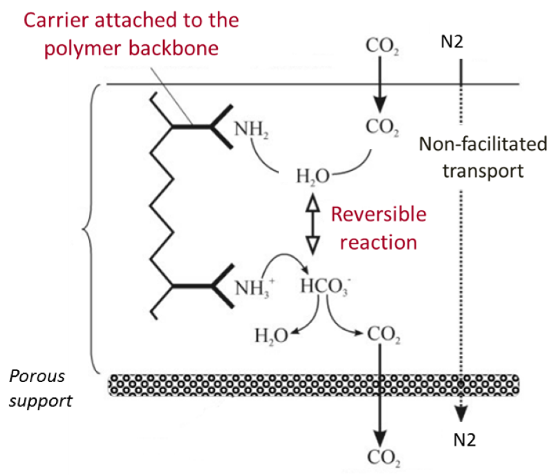 Membranes 10 00367 g002 Membranes 10 00367 g002
