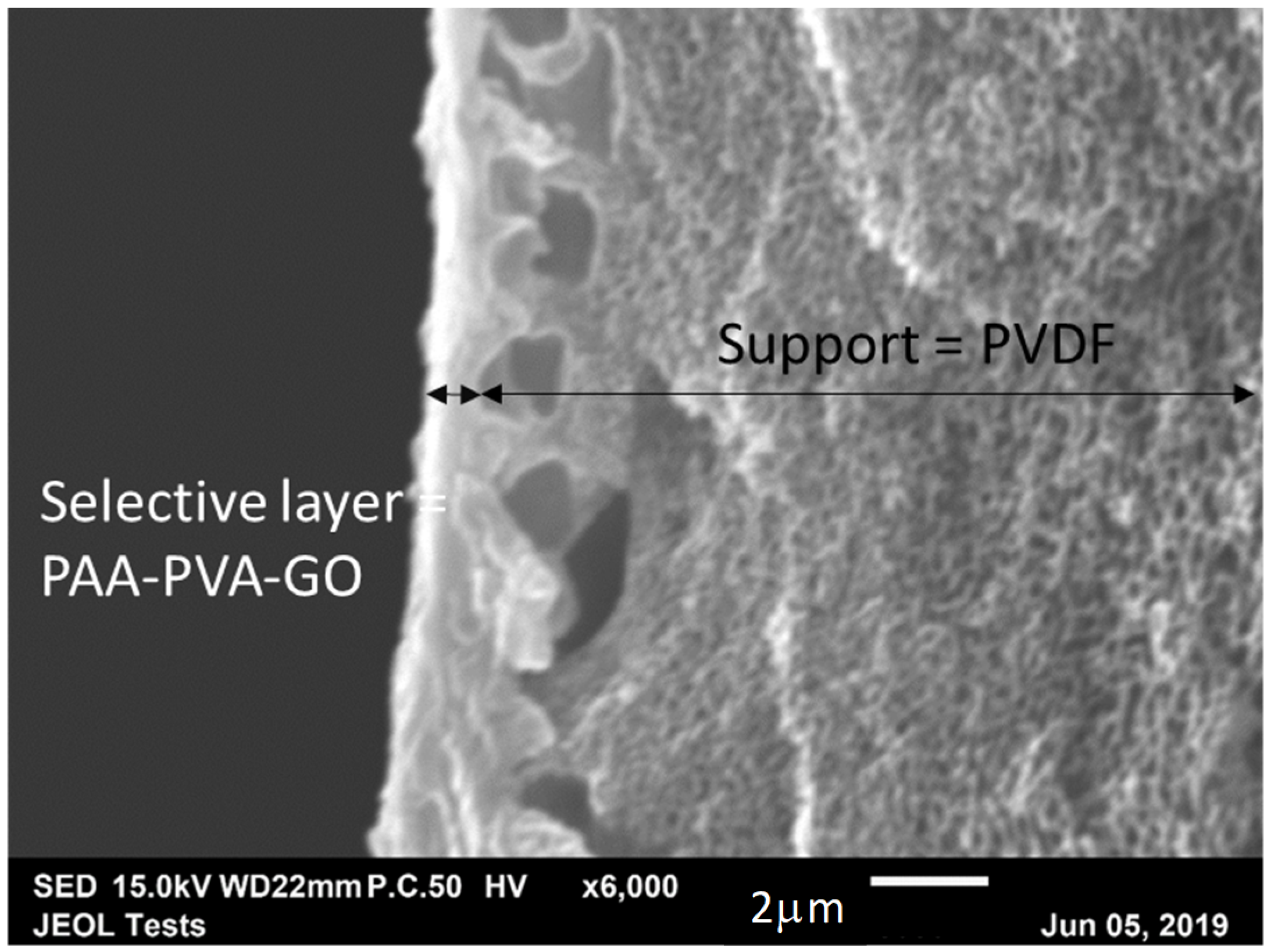 Membranes 10 00367 g003 Membranes 10 00367 g003