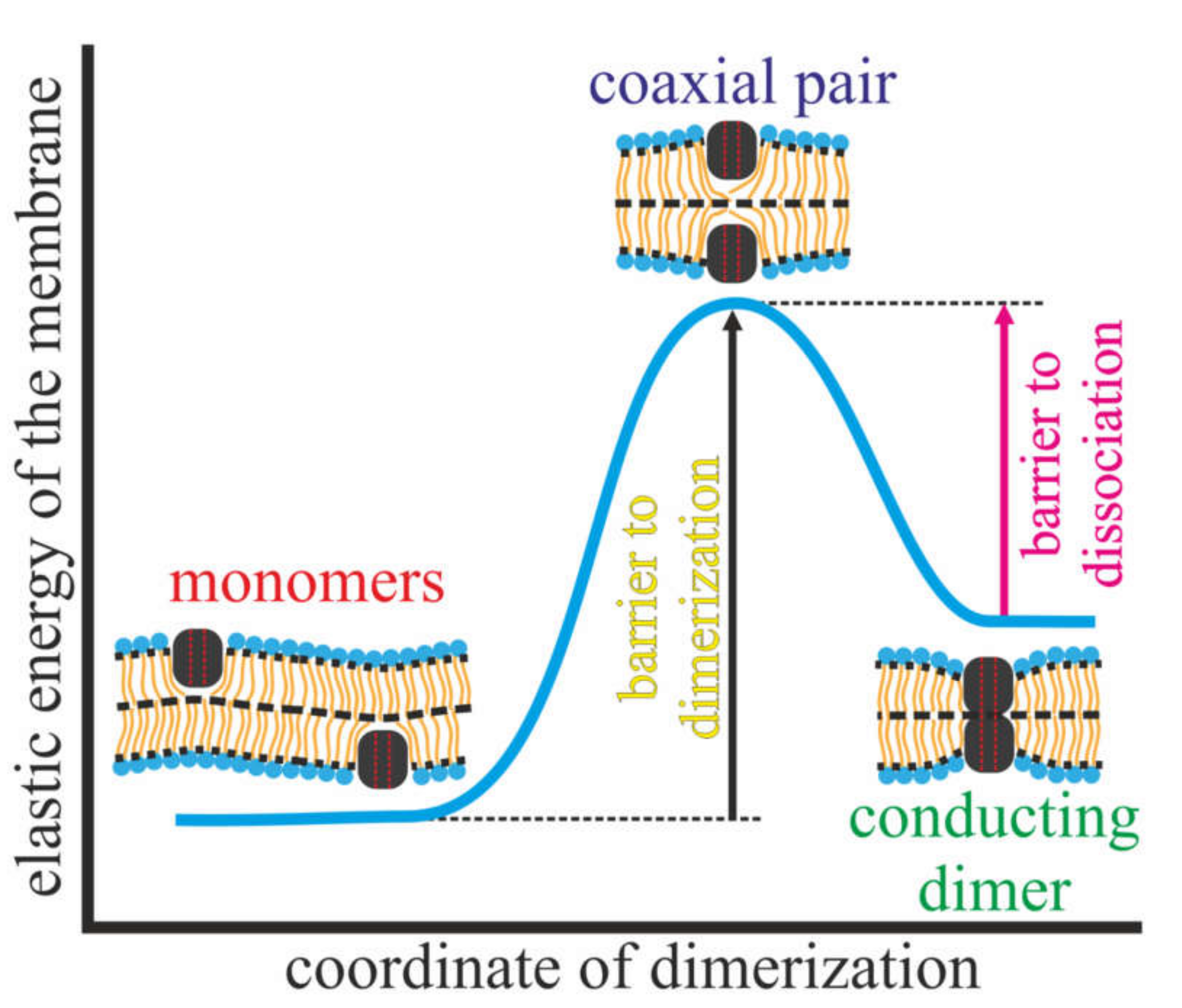 Membranes 10 00368 g001