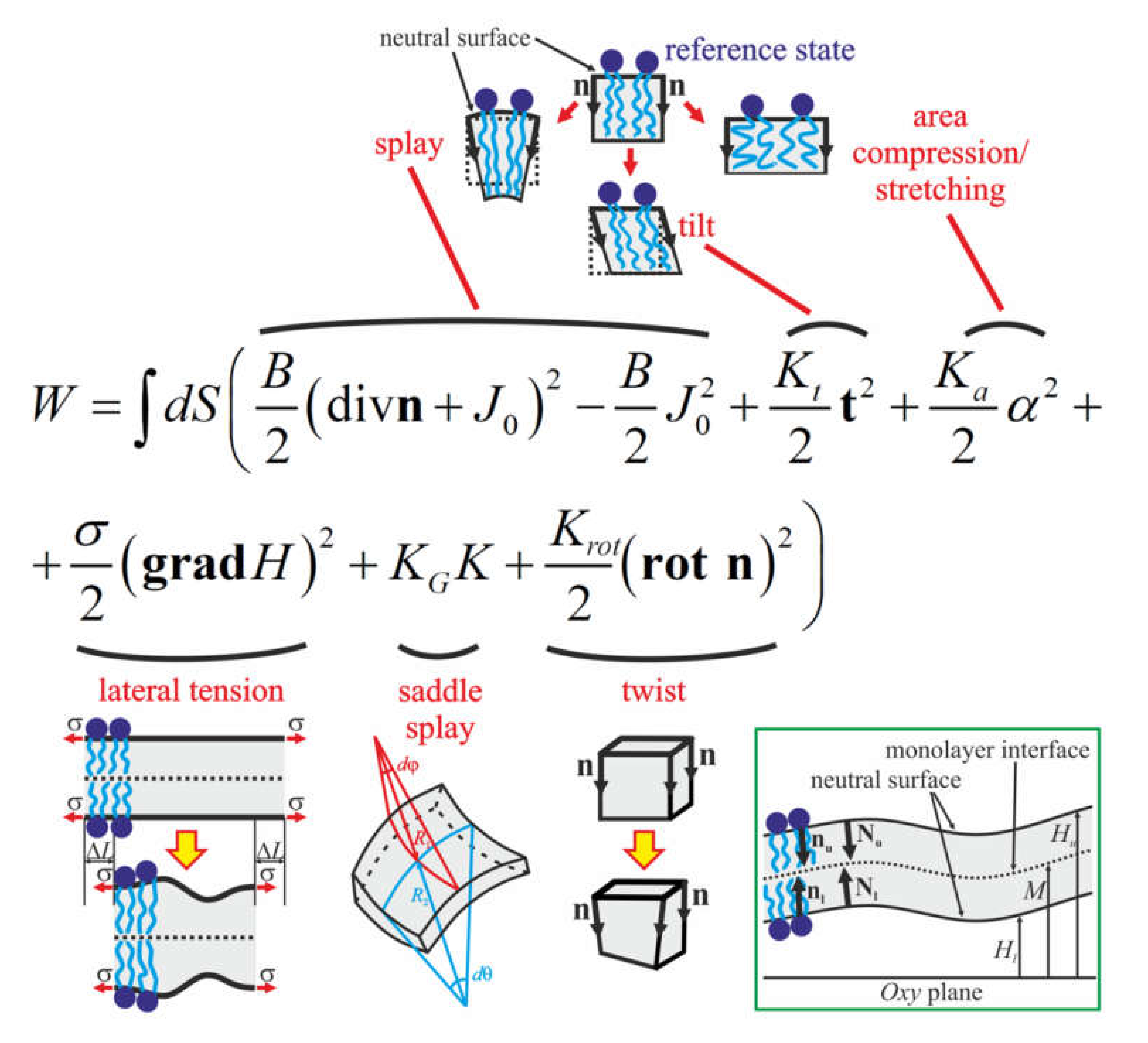 Membranes 10 00368 g002