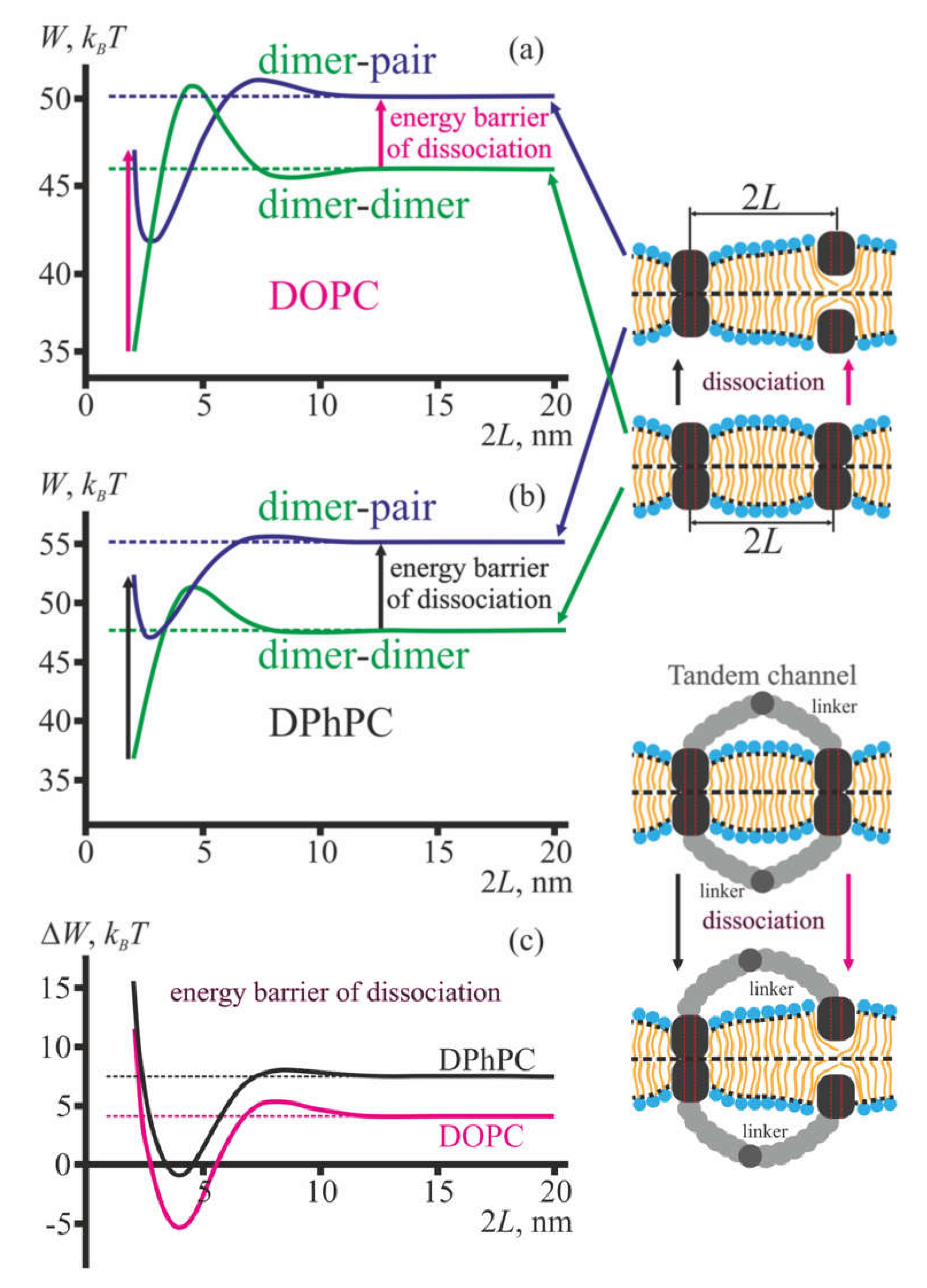 Membranes 10 00368 g004