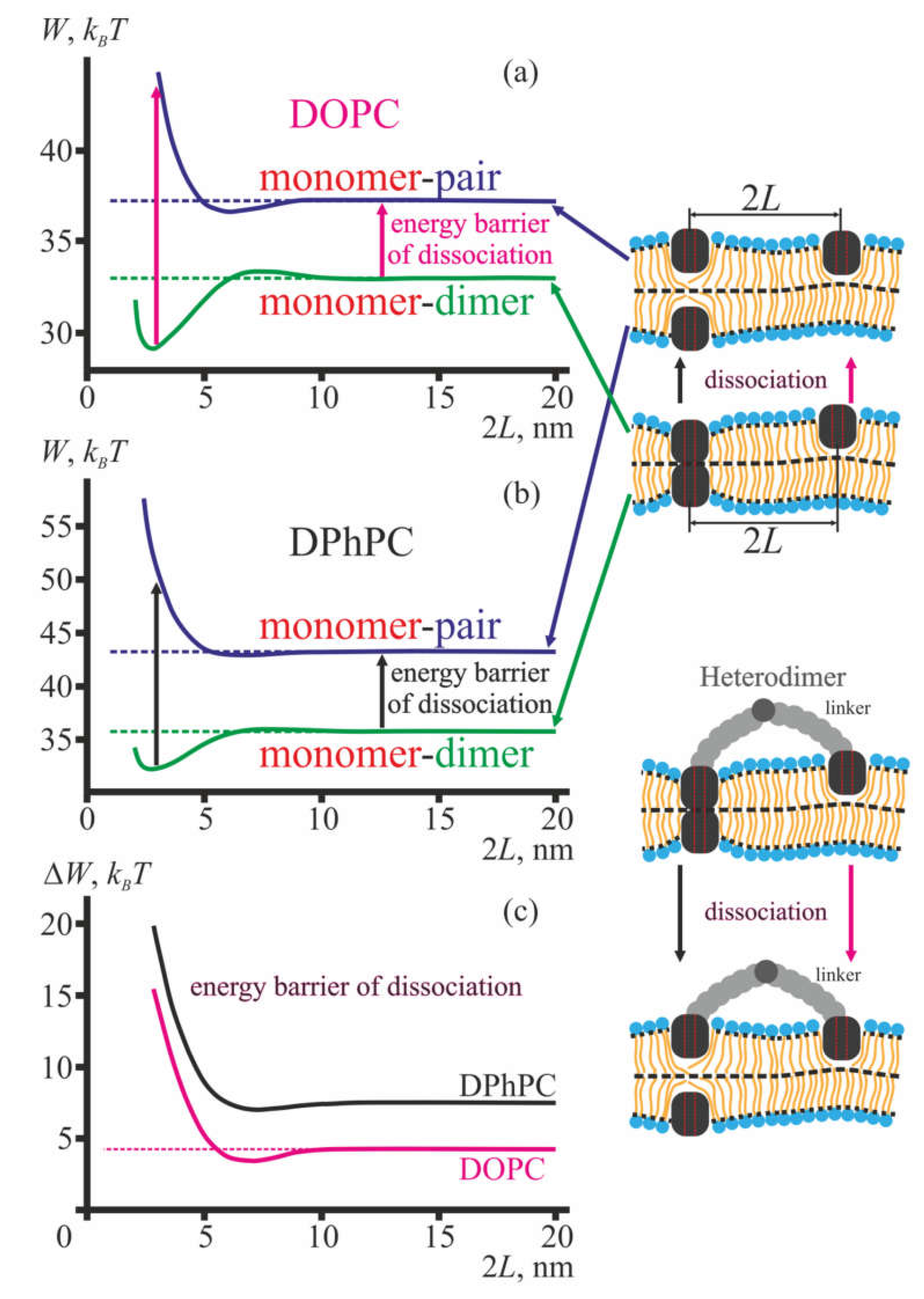 Membranes 10 00368 g005