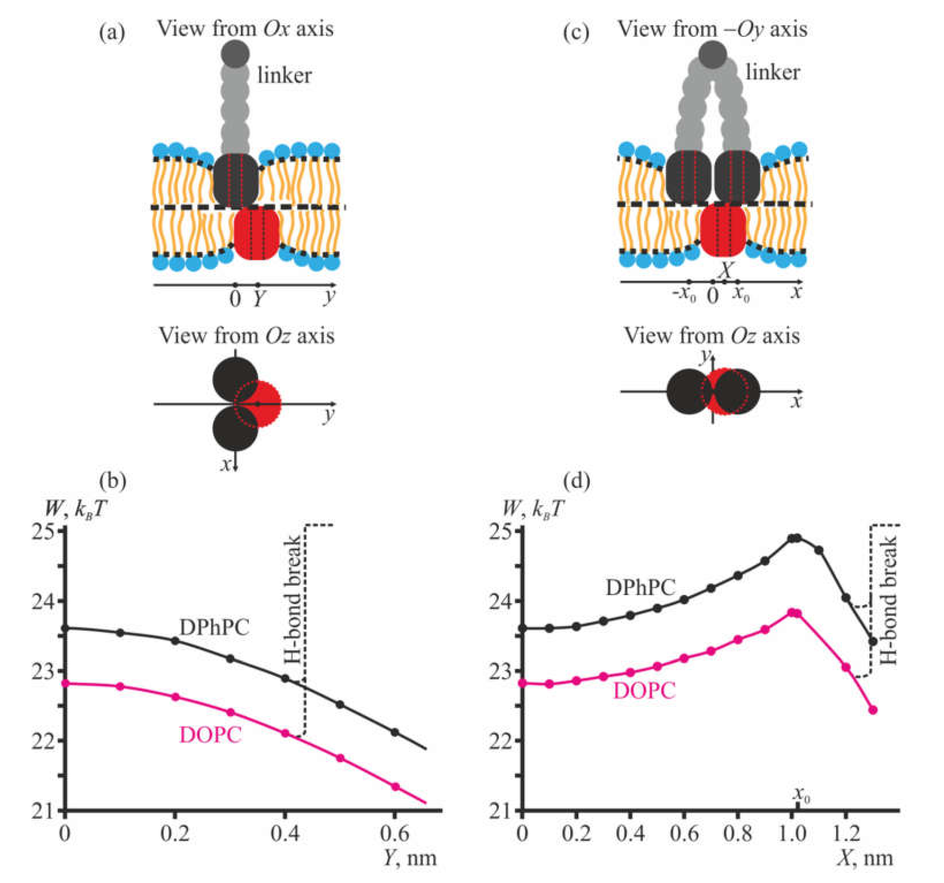 Membranes 10 00368 g006