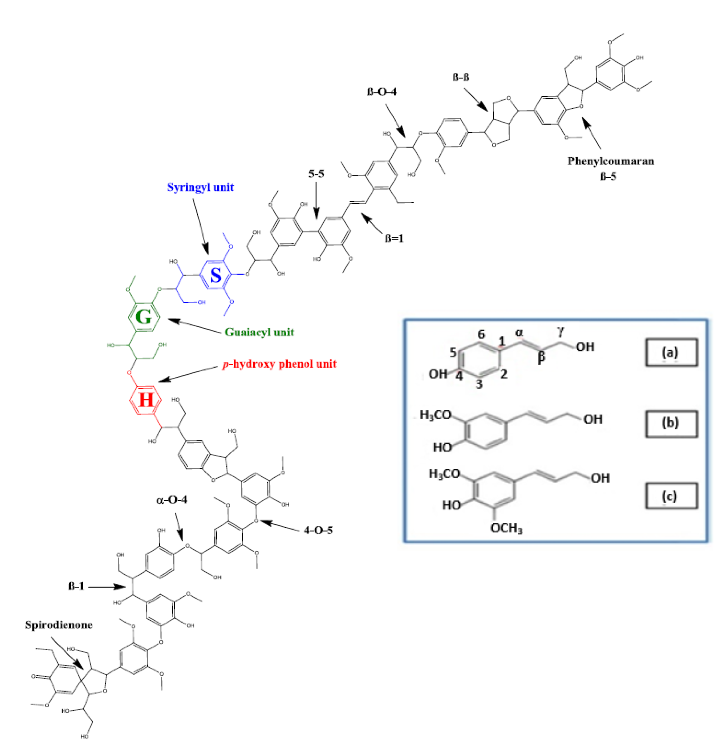 Membranes 10 00370 g006 Membranes 10 00370 g006