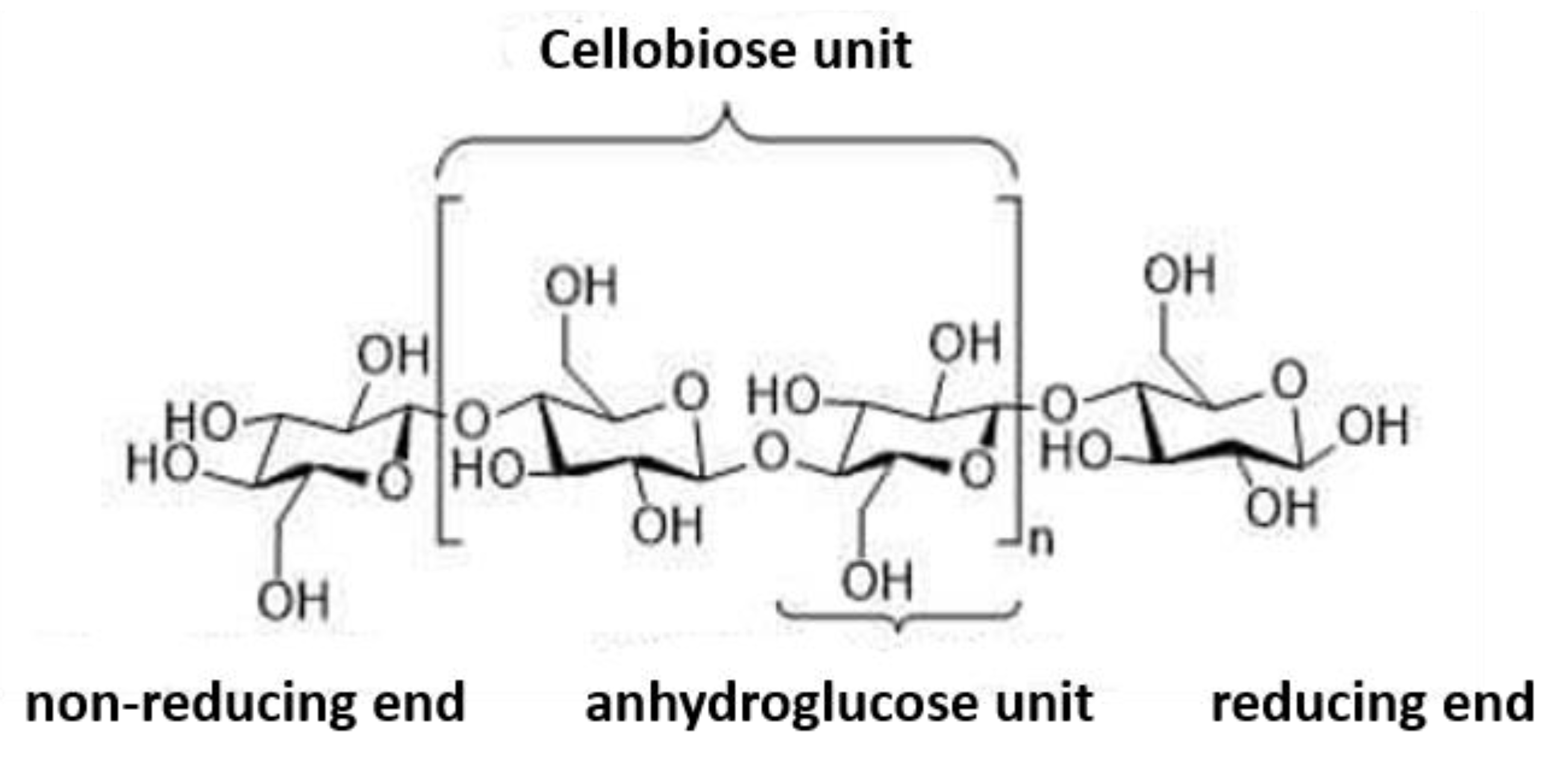 Membranes 10 00370 g008 Membranes 10 00370 g008
