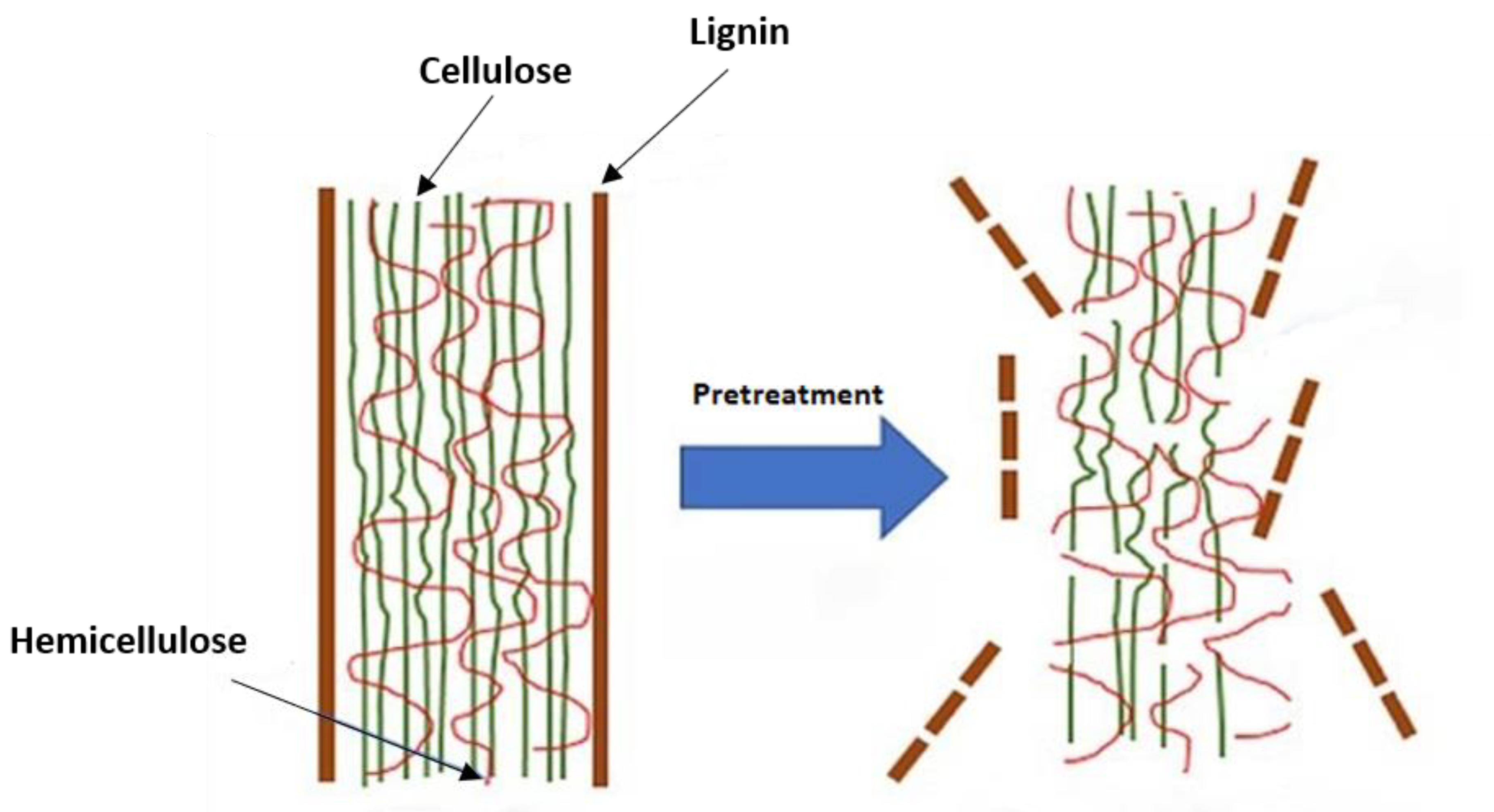 Membranes 10 00370 g009 Membranes 10 00370 g009