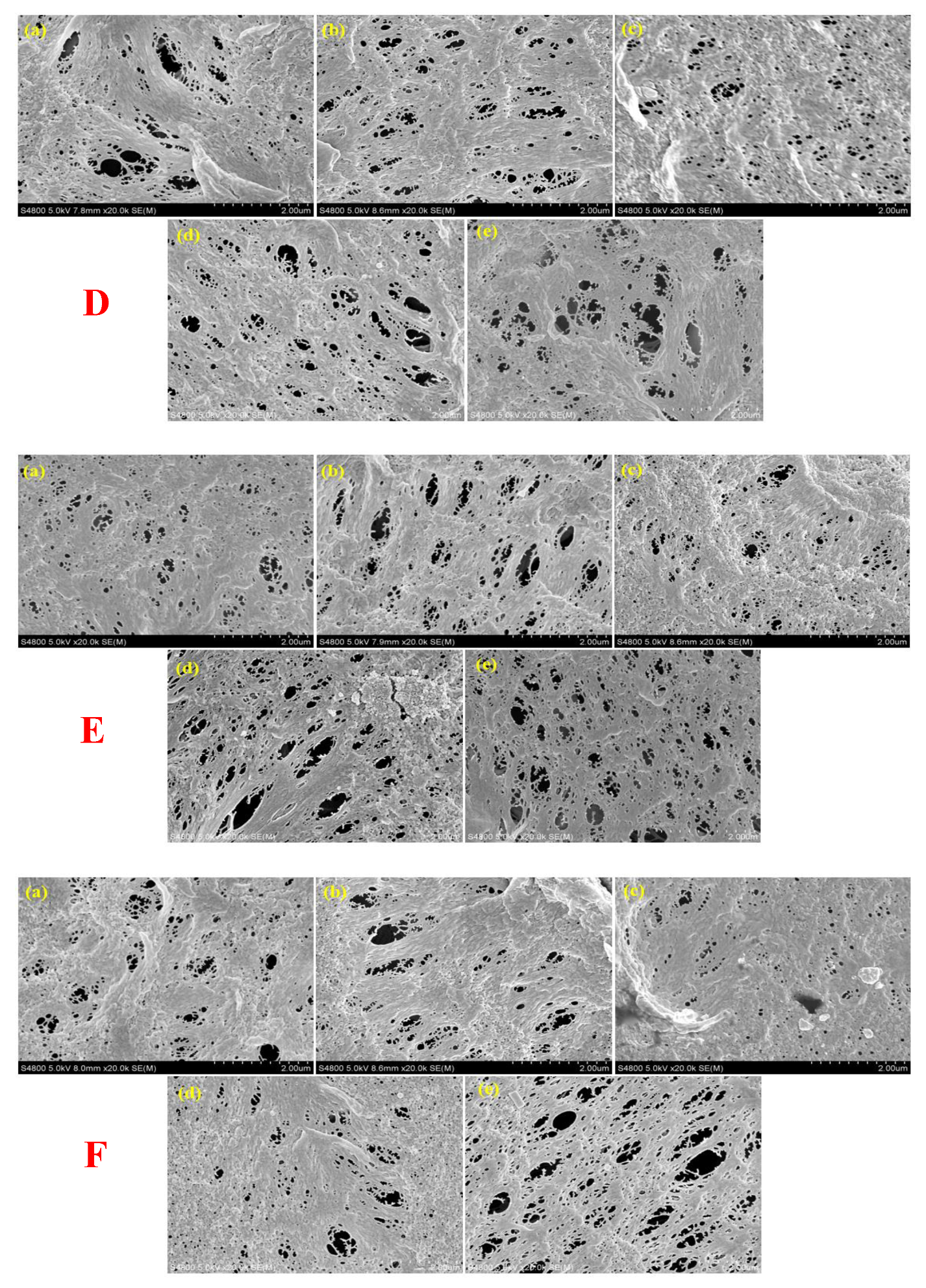 Membranes 10 00375 g002b
