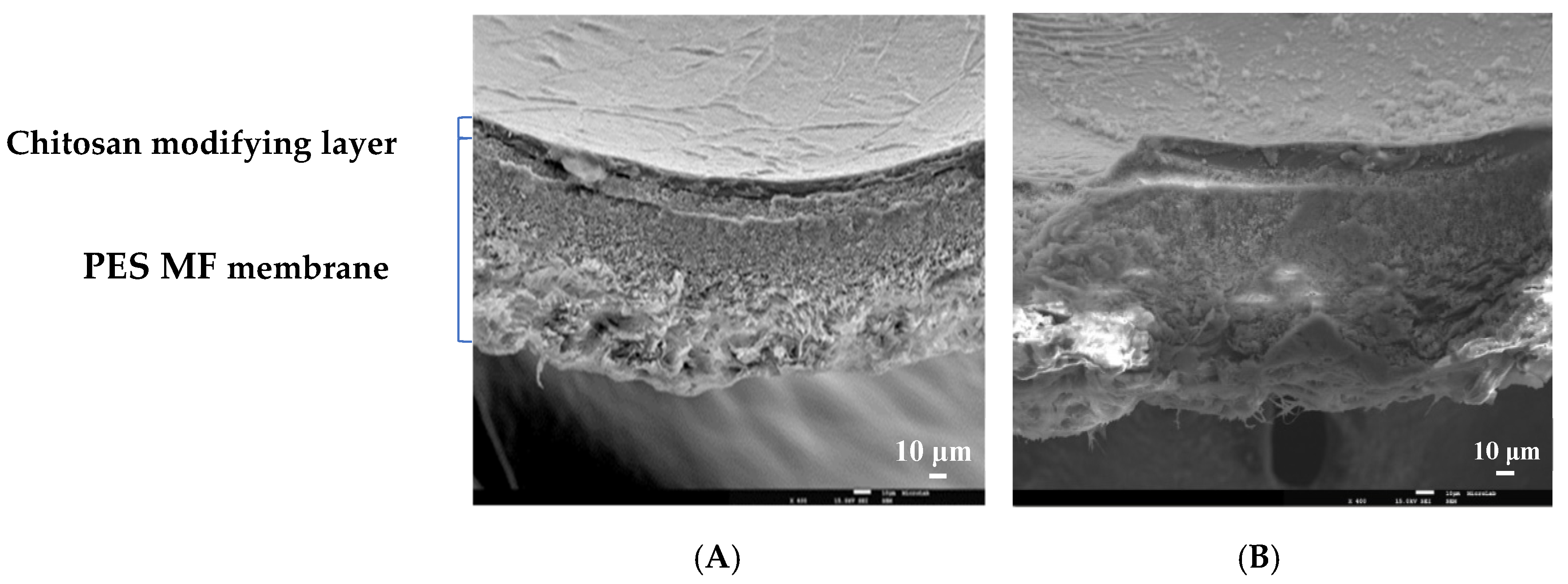 Membranes 10 00378 g009 Membranes 10 00378 g009