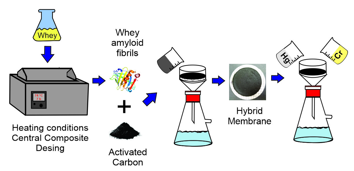 Membranes Free FullText Preparation of a Hybrid Membrane from Whey