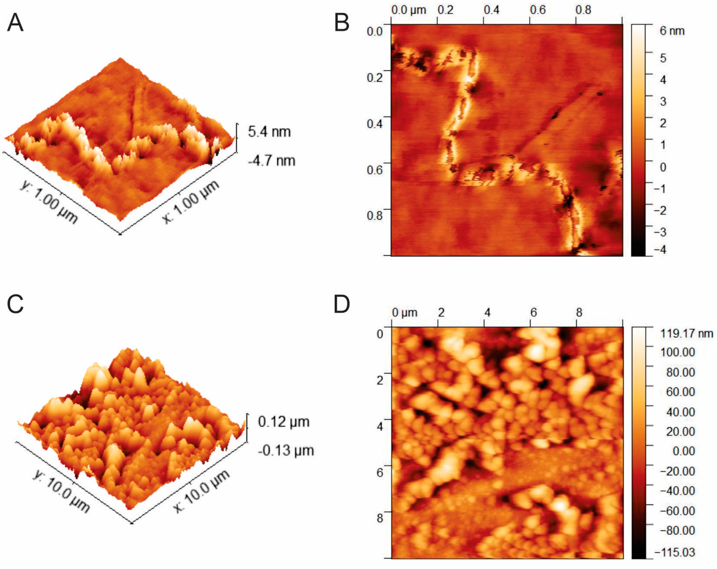 Membranes 10 00386 g001