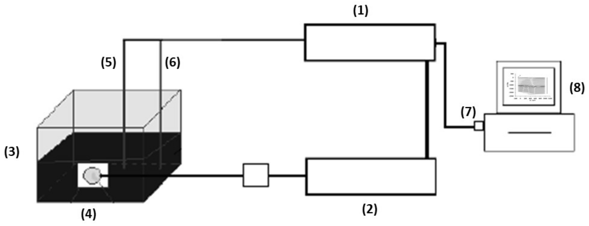 Membranes 10 00387 sch001