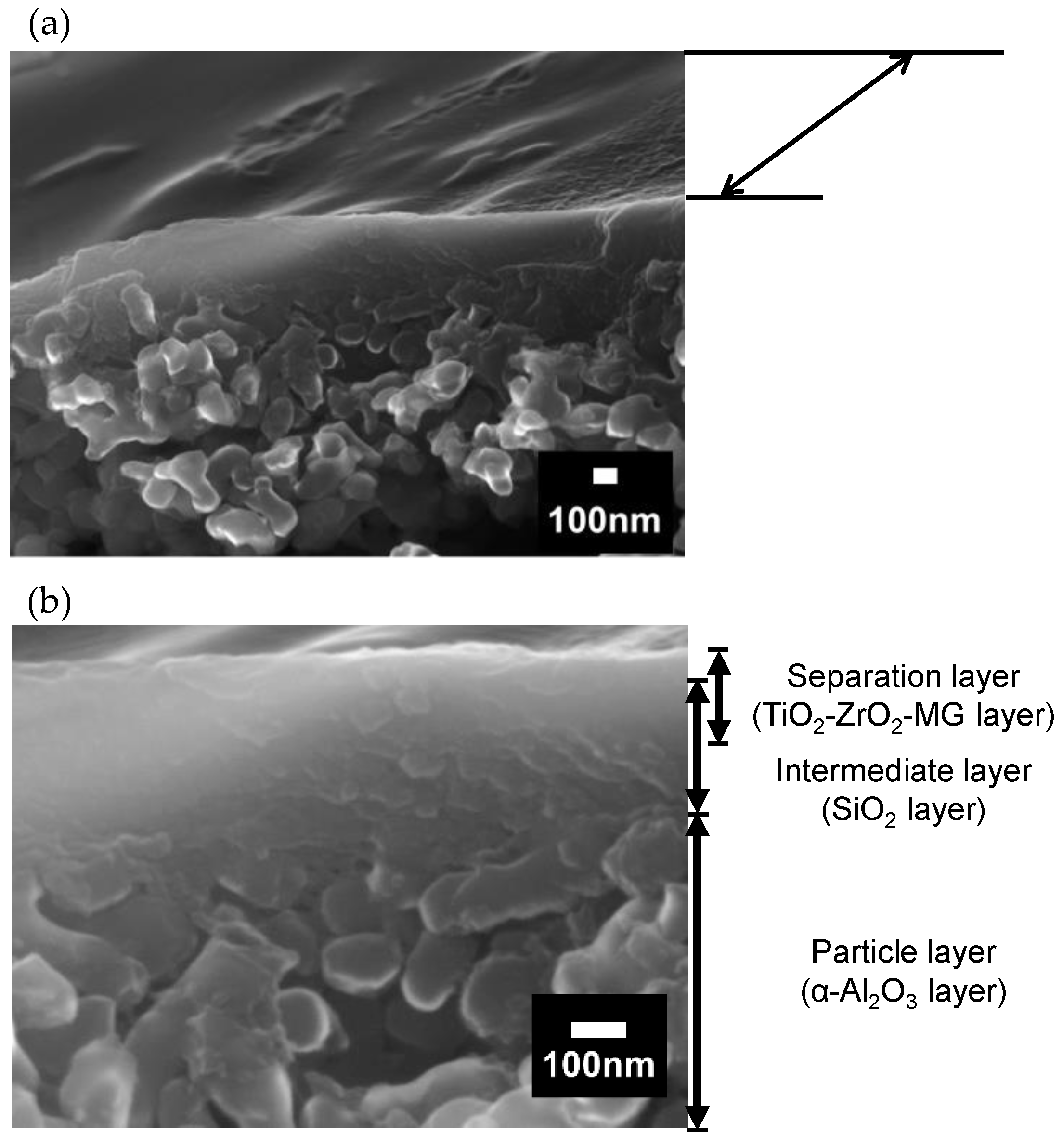 Membranes 10 00388 g010 Membranes 10 00388 g010