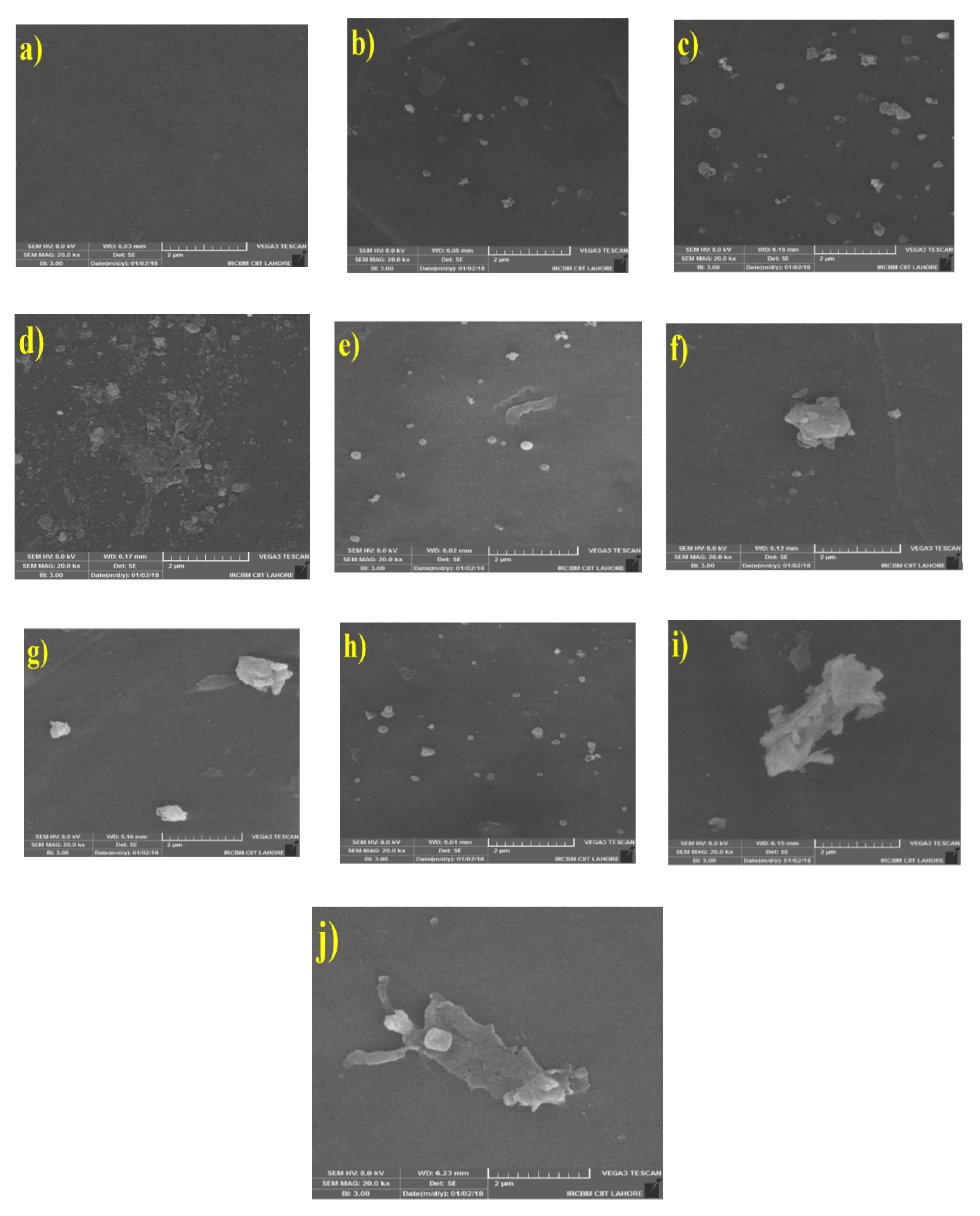 Membranes 10 00393 g001 Membranes 10 00393 g001