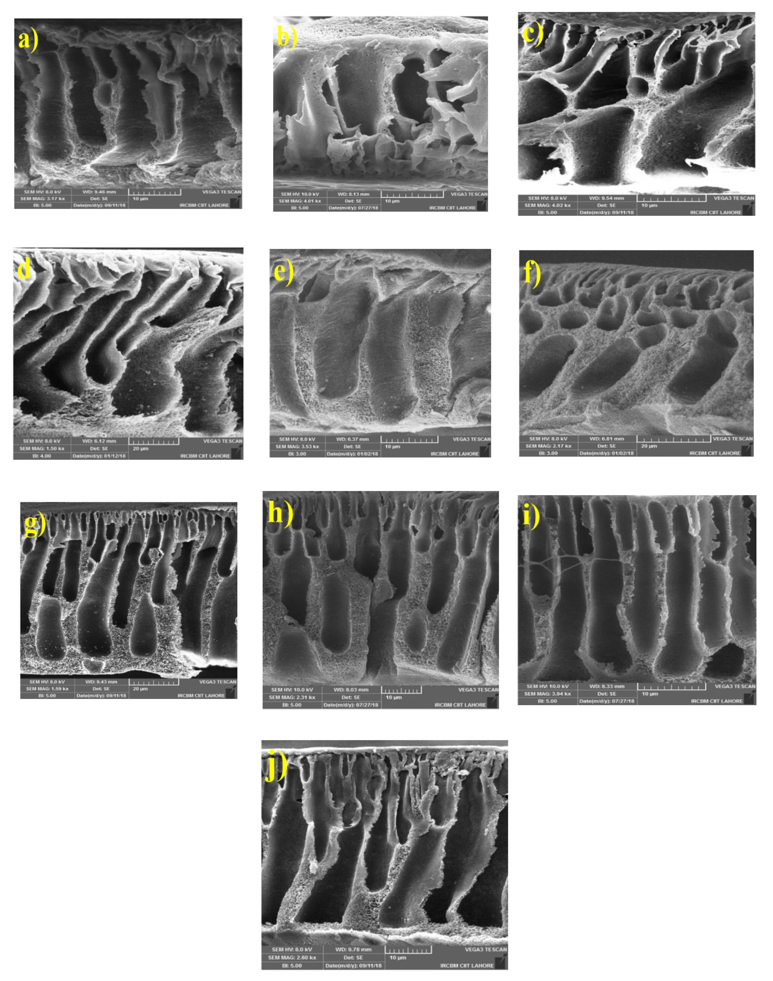 Membranes 10 00393 g002 Membranes 10 00393 g002