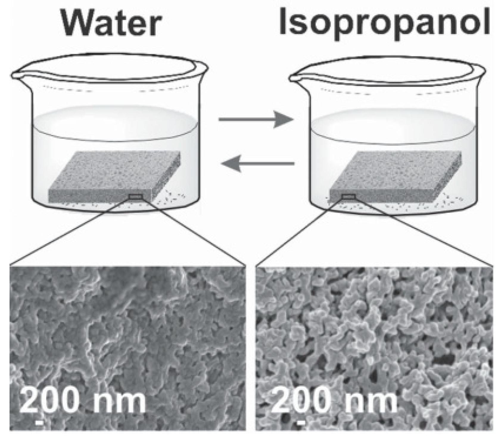 Membranes 10 00395 g004 Membranes 10 00395 g004