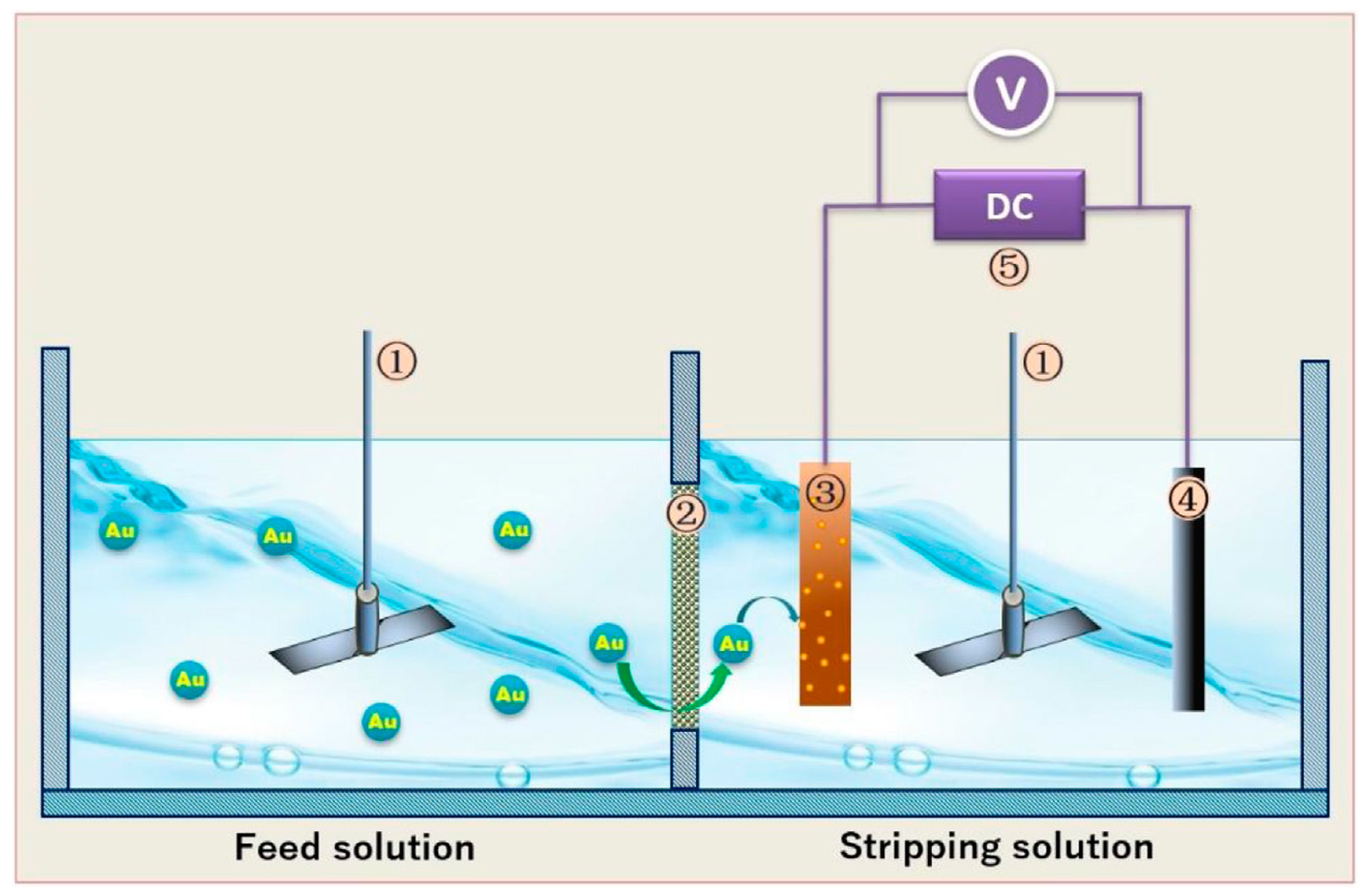 Membranes 10 00395 g008 Membranes 10 00395 g008