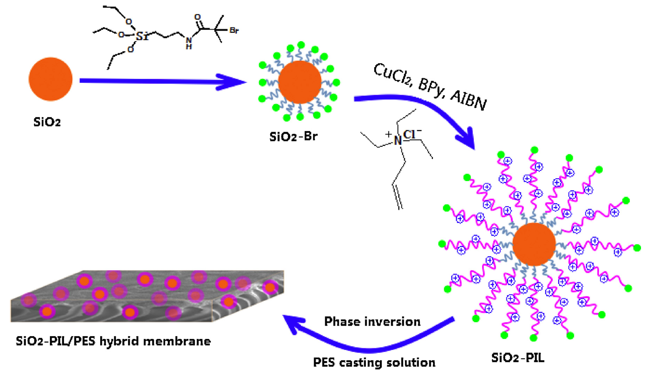 Membranes 10 00395 g015 Membranes 10 00395 g015