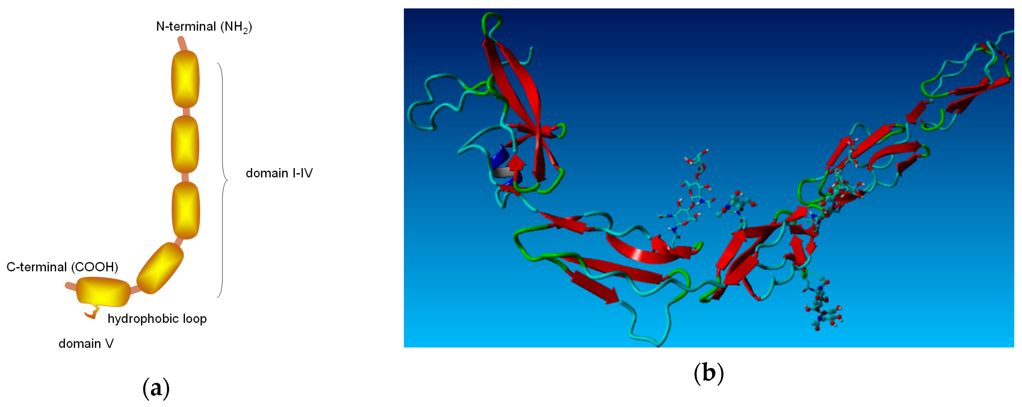 Membranes 10 00396 g001