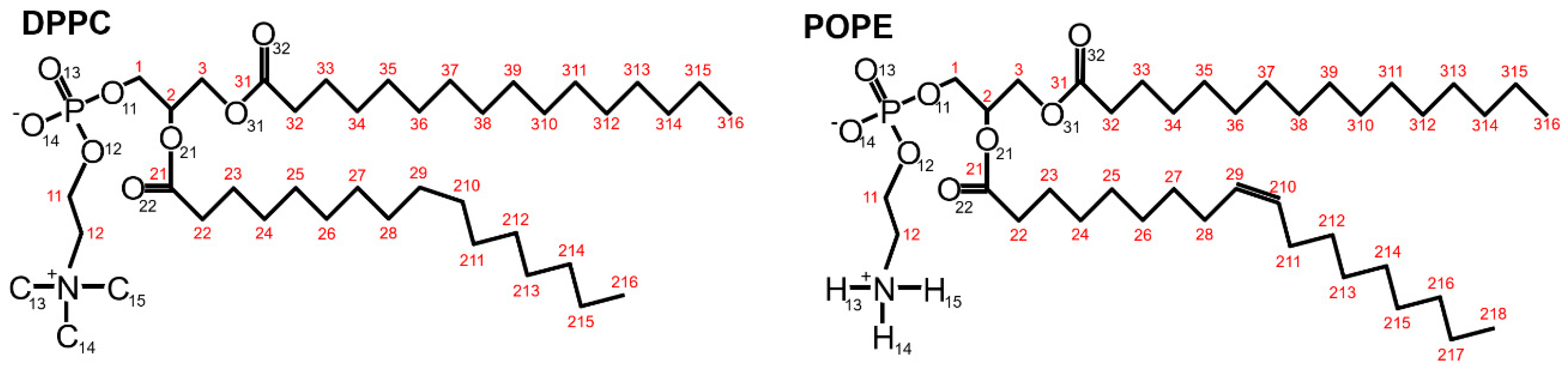 Membranes 10 00396 g002