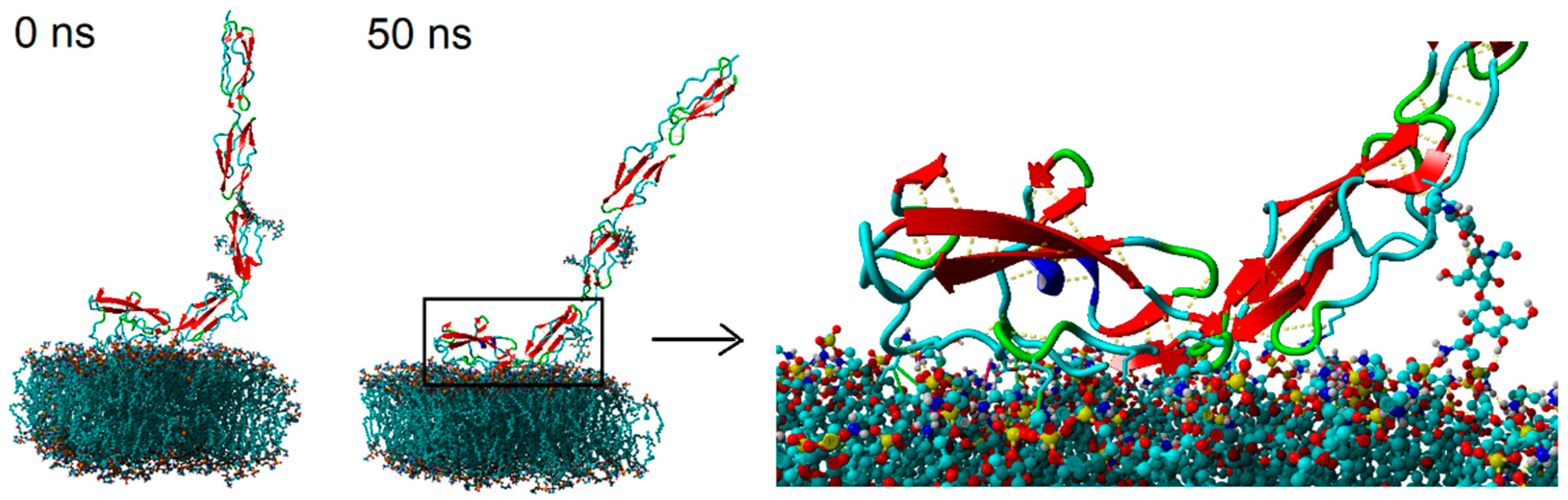Membranes 10 00396 g003