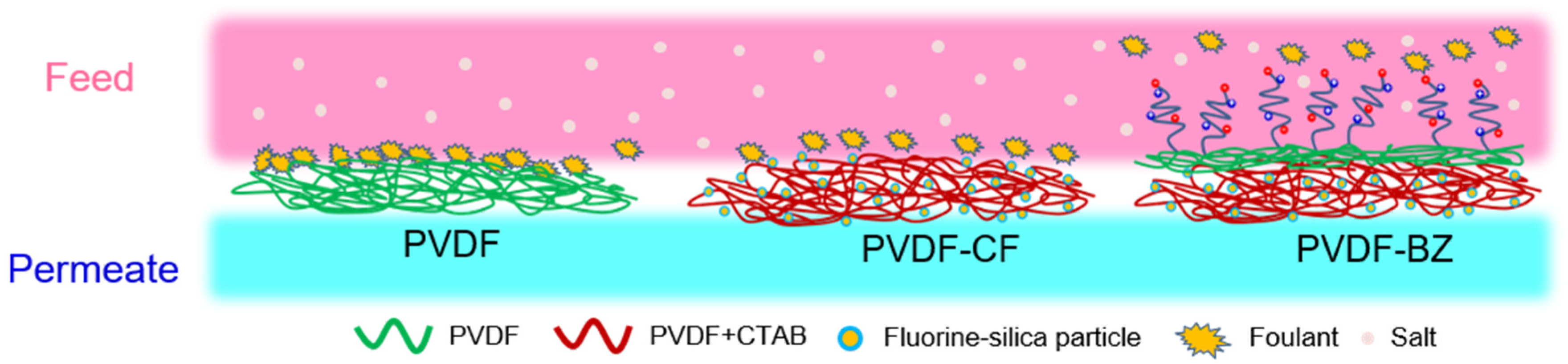 Membranes 10 00402 g001 Membranes 10 00402 g001