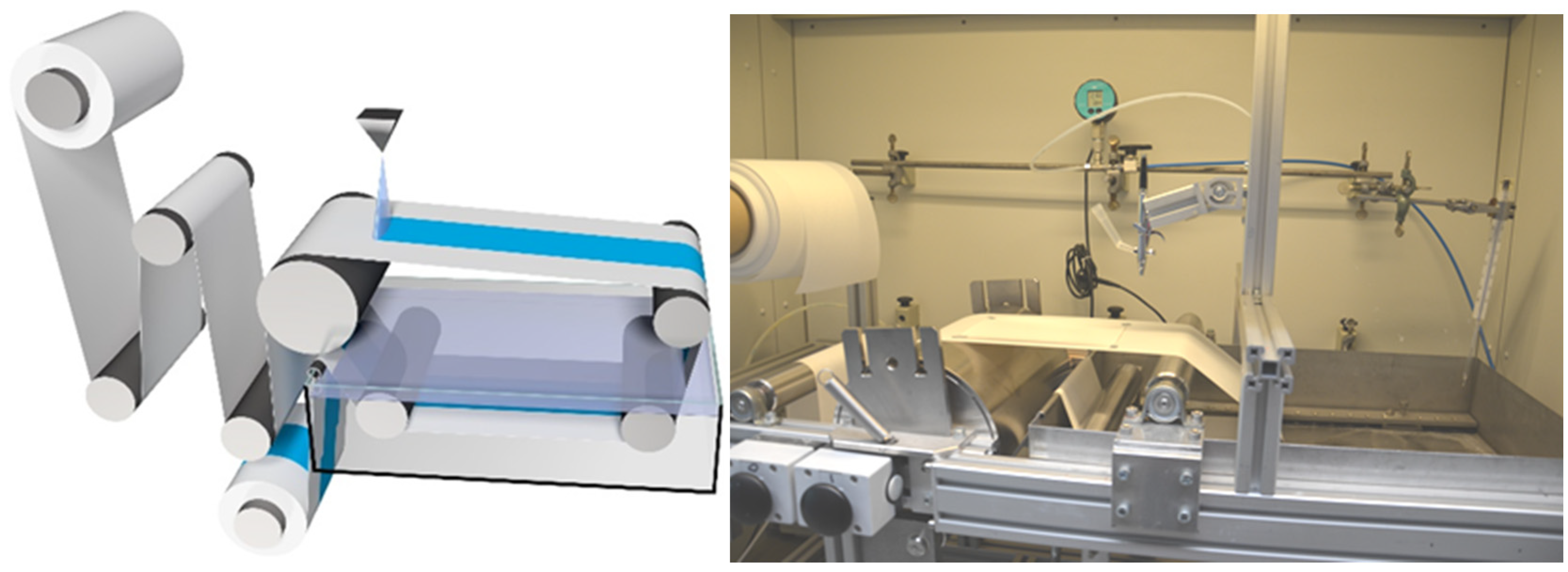 Membranes 10 00404 g002