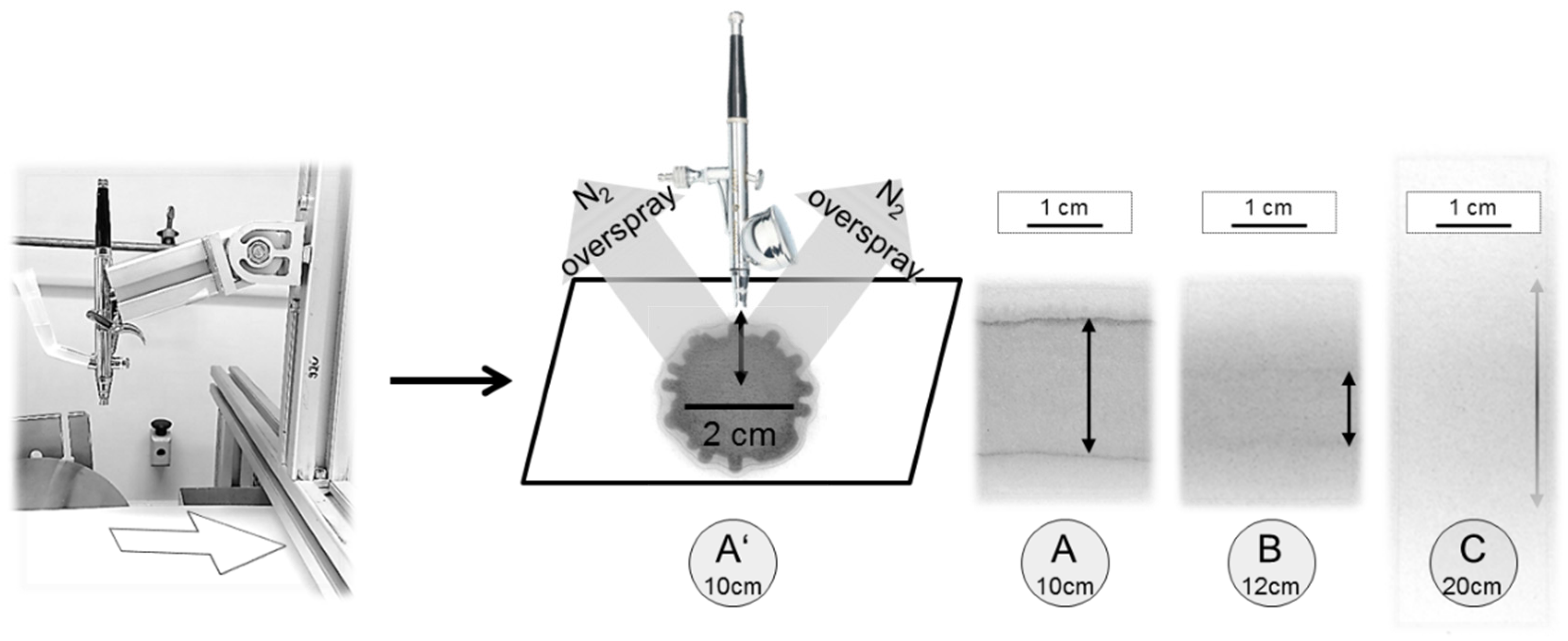 Membranes 10 00404 g004