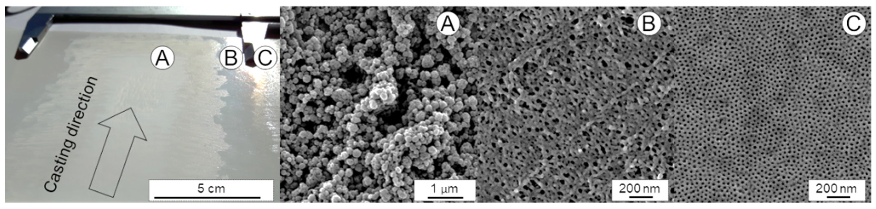 Membranes 10 00404 g011