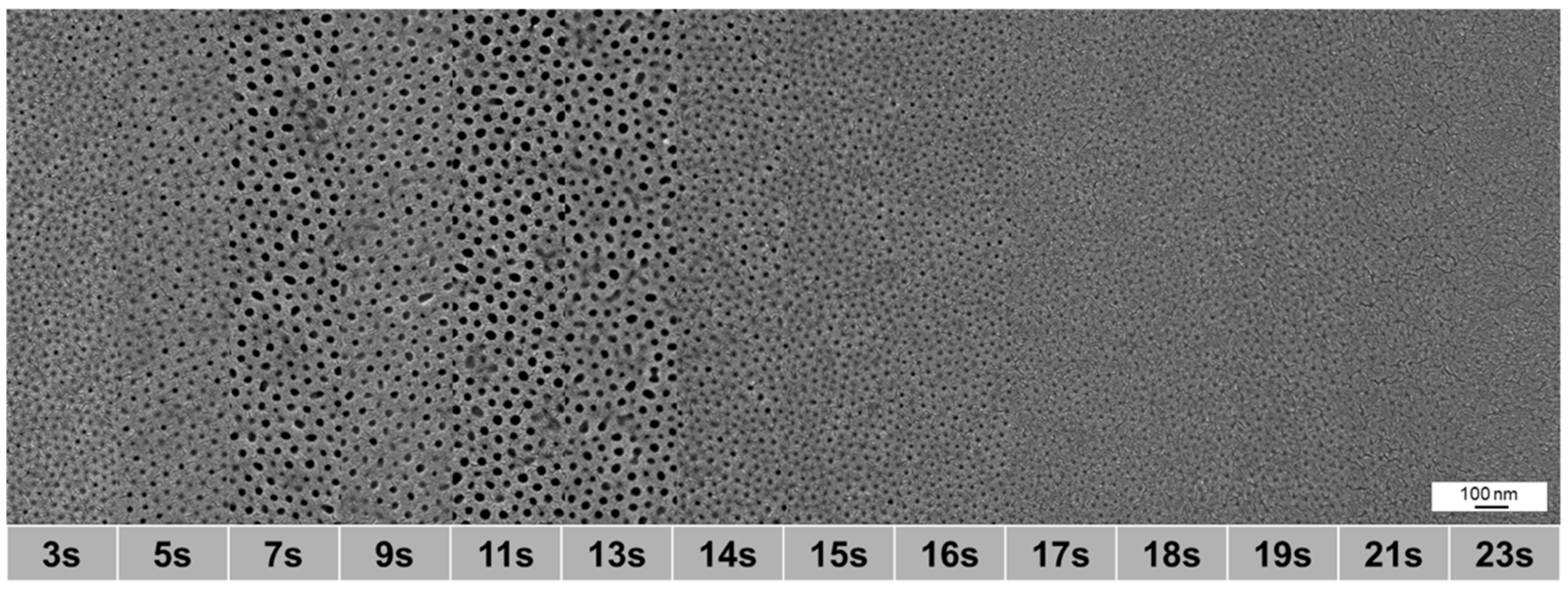 Membranes 10 00404 g015