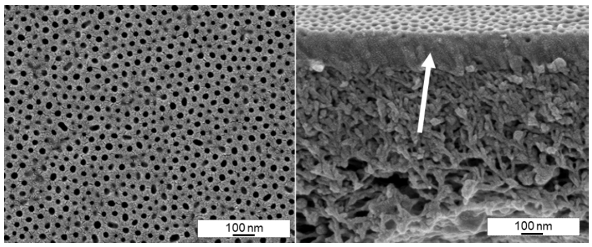 Membranes 10 00404 g016