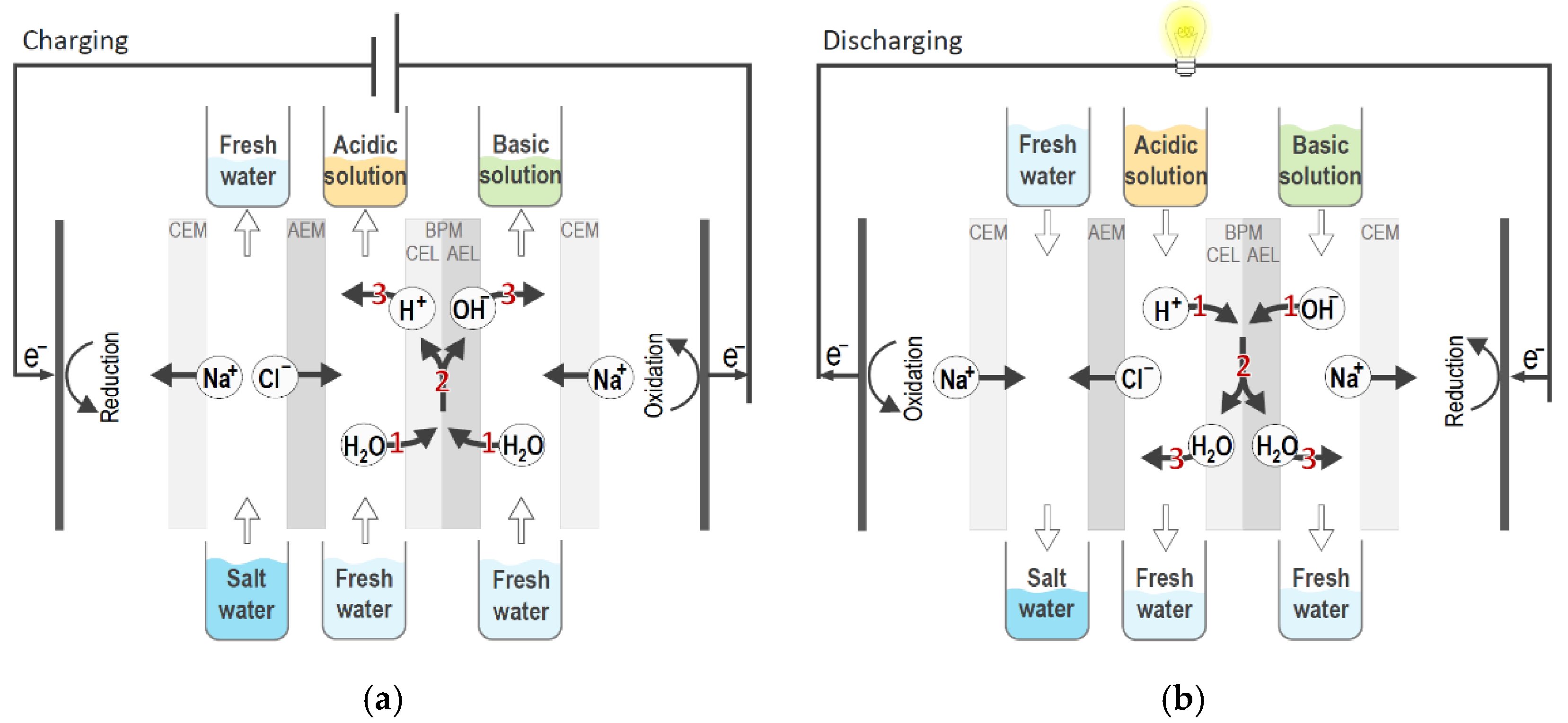 Membranes 10 00409 g002 Membranes 10 00409 g002