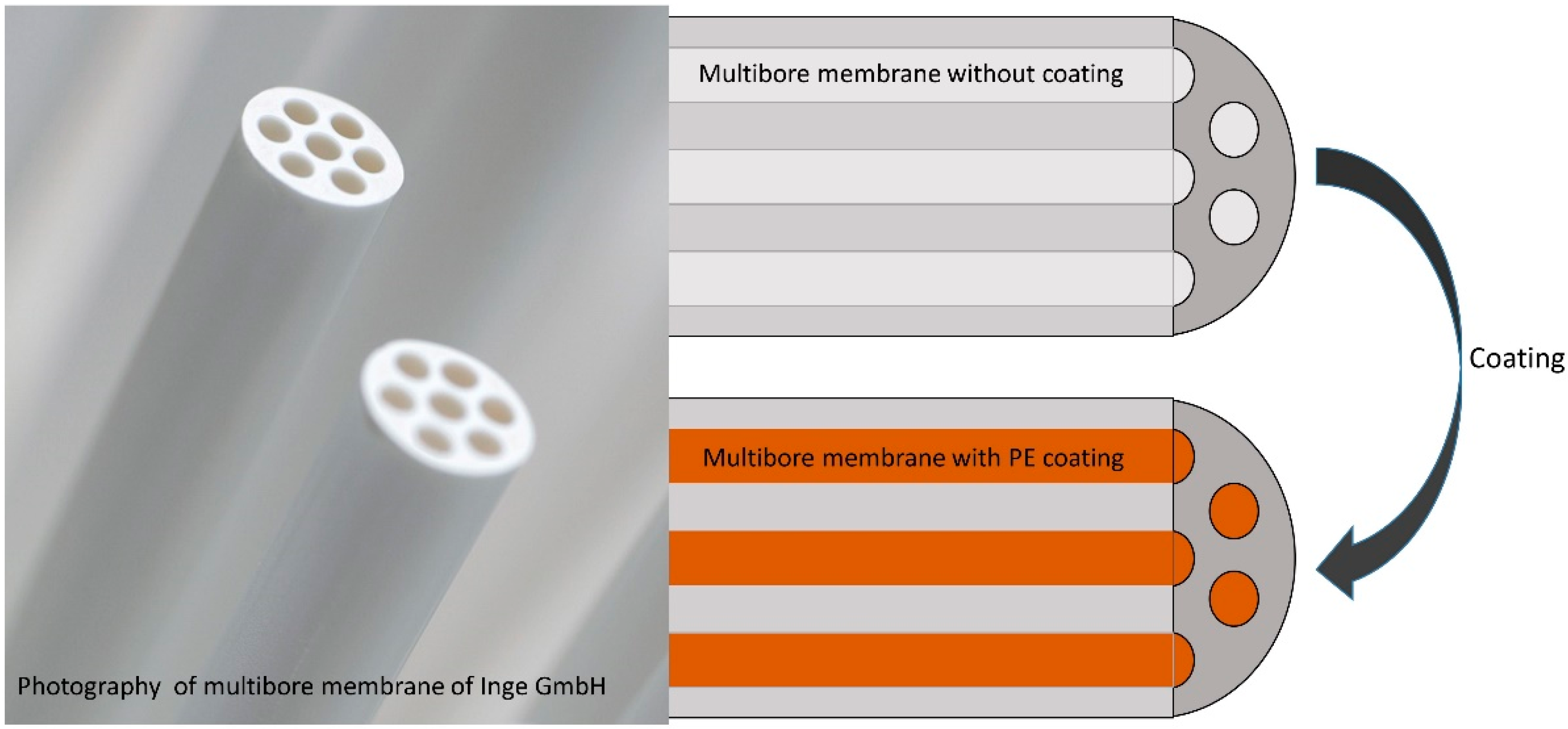 Membranes 10 00412 g001 Membranes 10 00412 g001