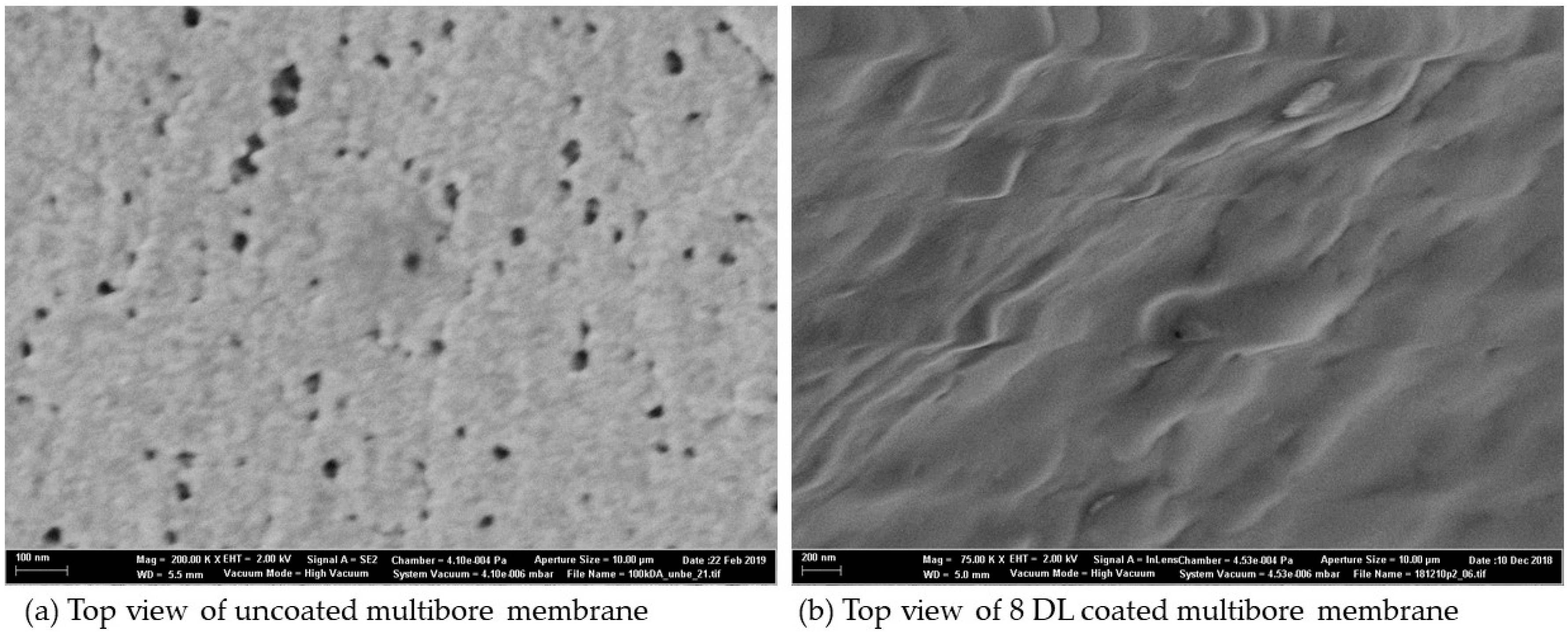 Membranes 10 00412 g008 Membranes 10 00412 g008