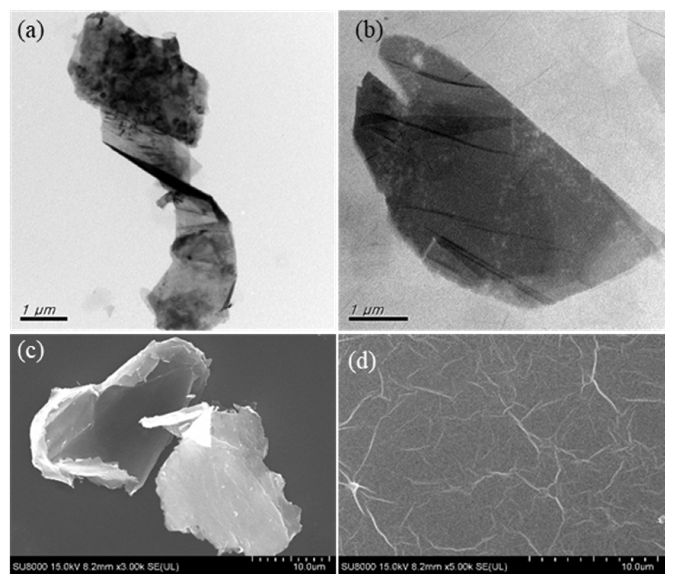 Membranes 10 00416 g001 Membranes 10 00416 g001