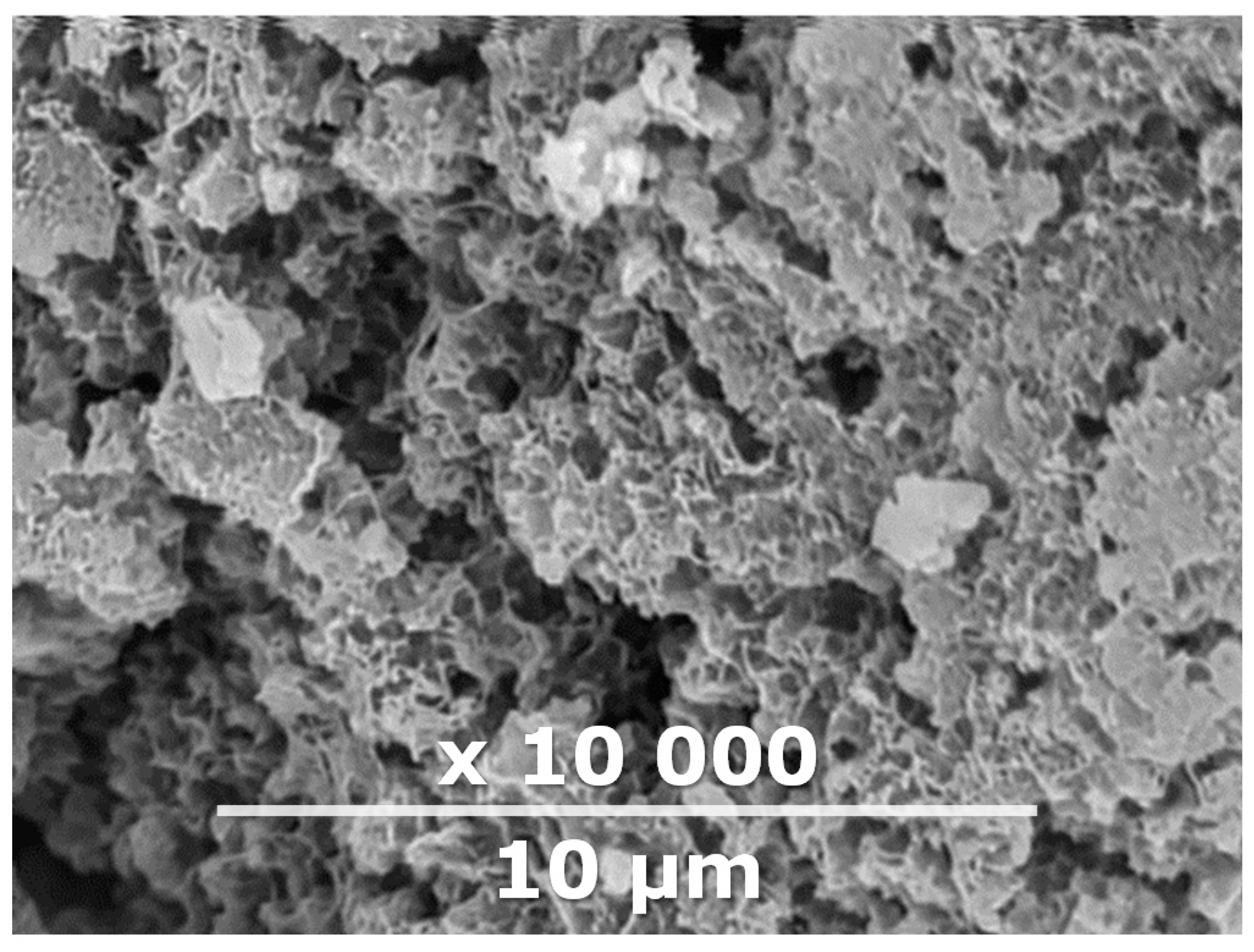 Membranes 10 00419 g002 Membranes 10 00419 g002