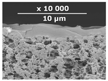 Membranes 10 00419 i001 Membranes 10 00419 i001