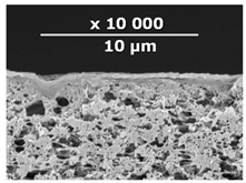 Membranes 10 00419 i006 Membranes 10 00419 i006