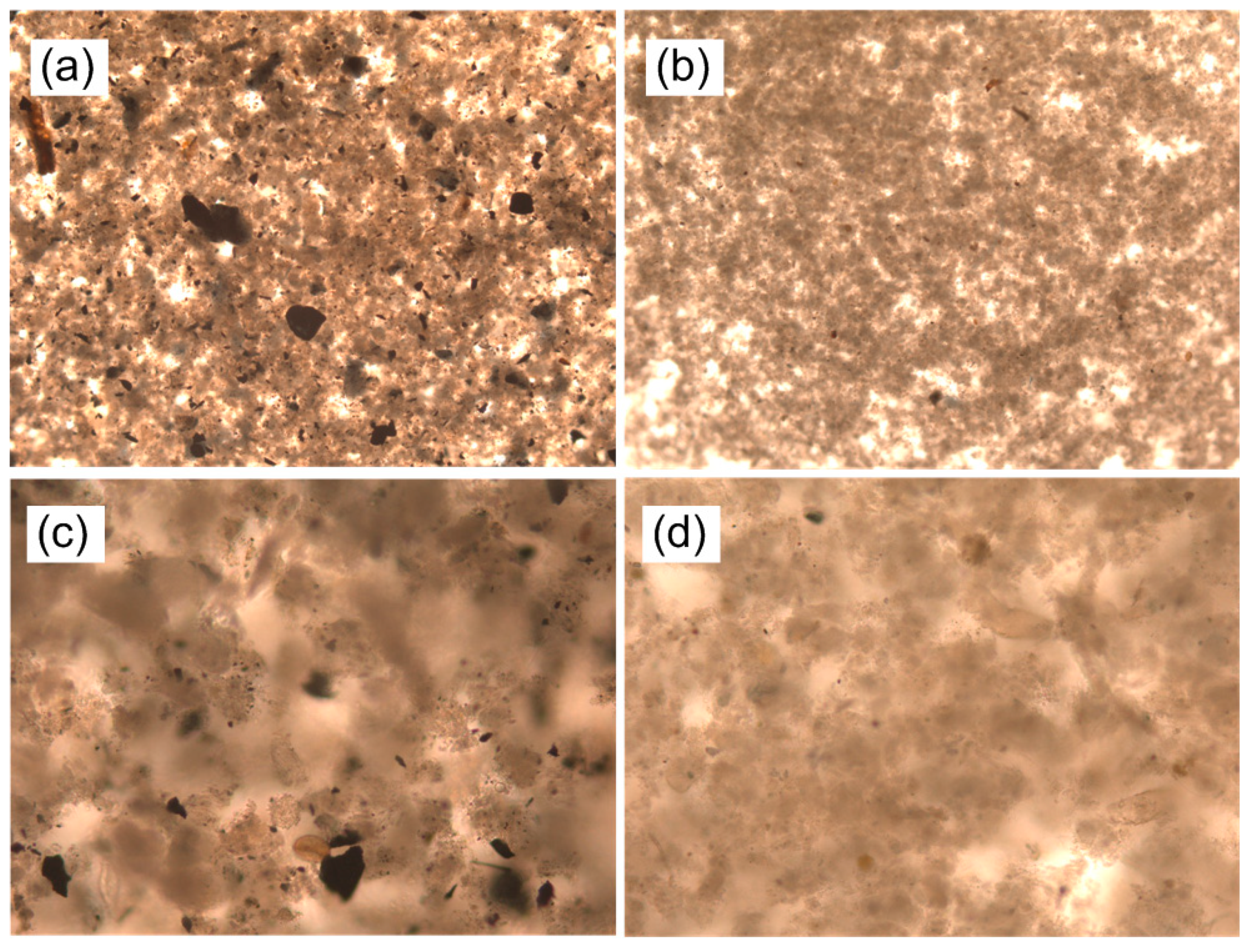 Membranes 10 00420 g004