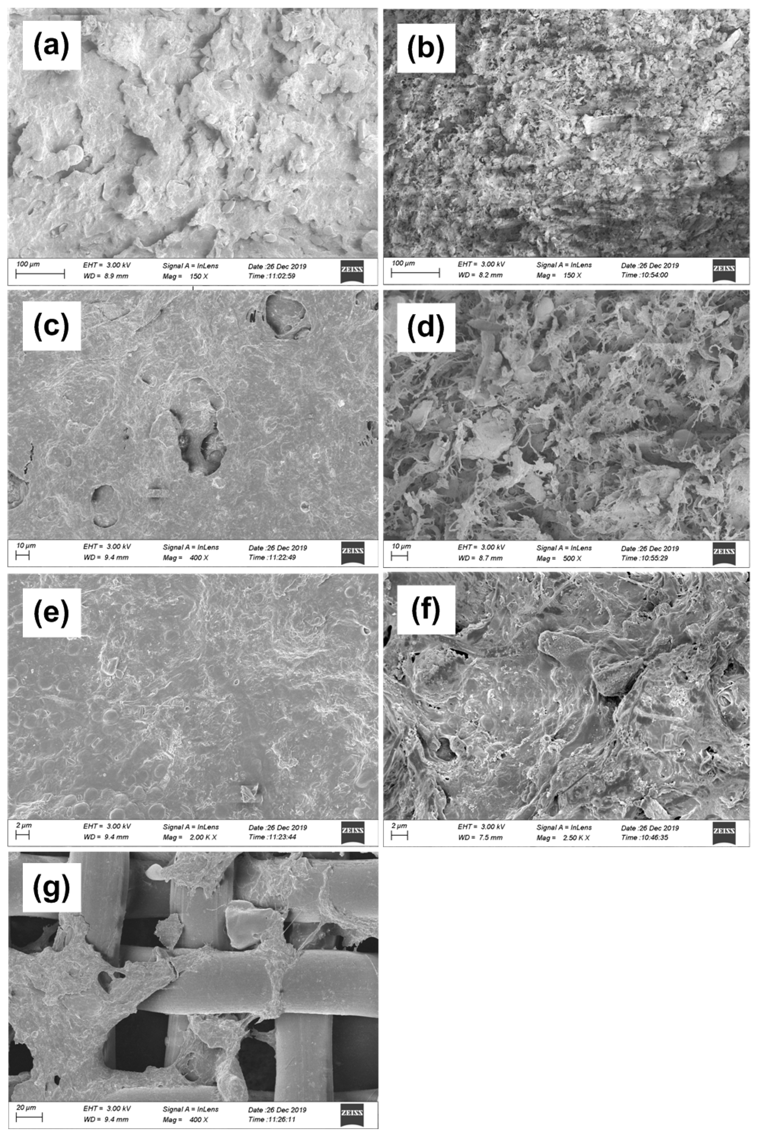 Membranes 10 00420 g007
