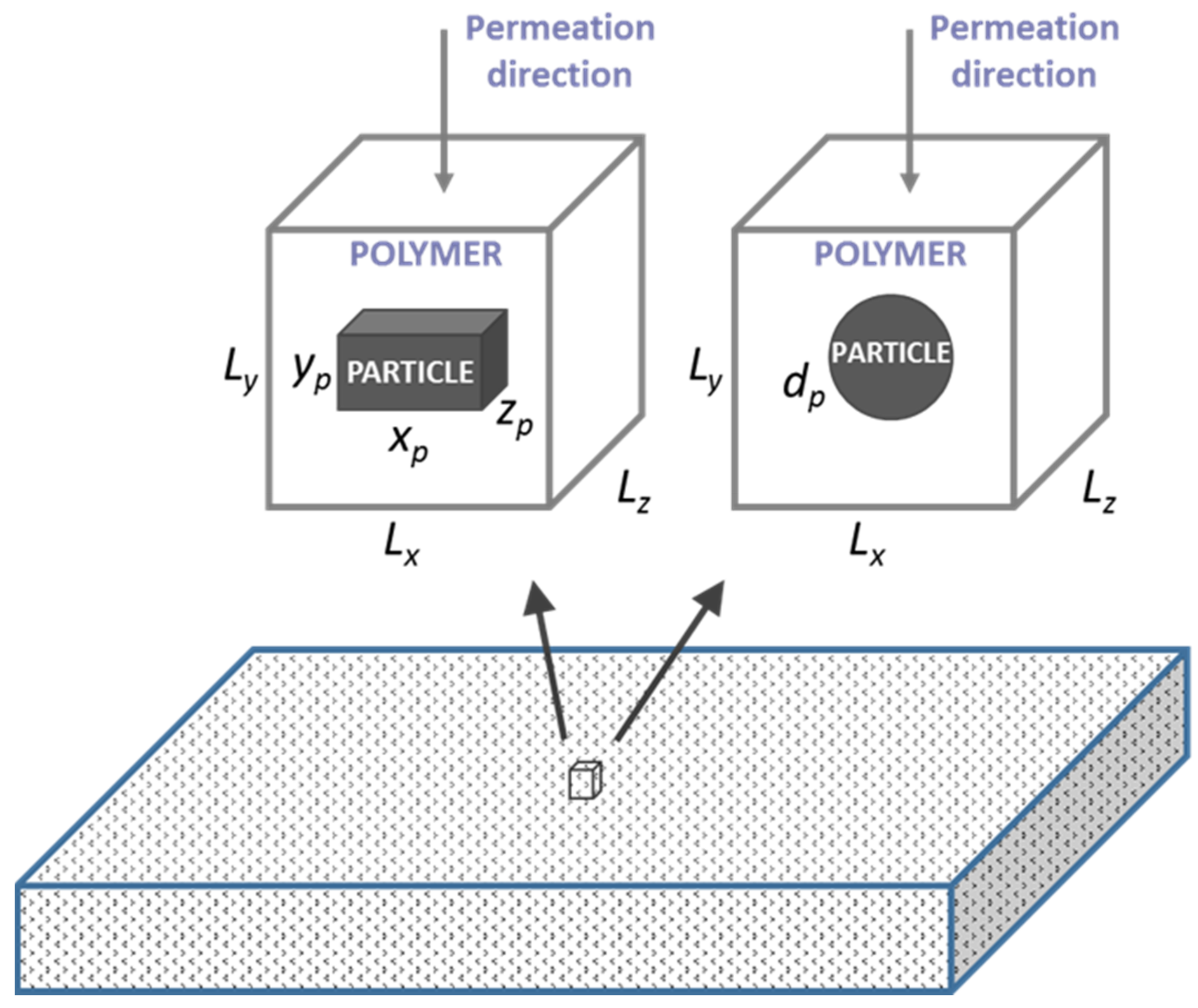 Membranes 10 00422 g001
