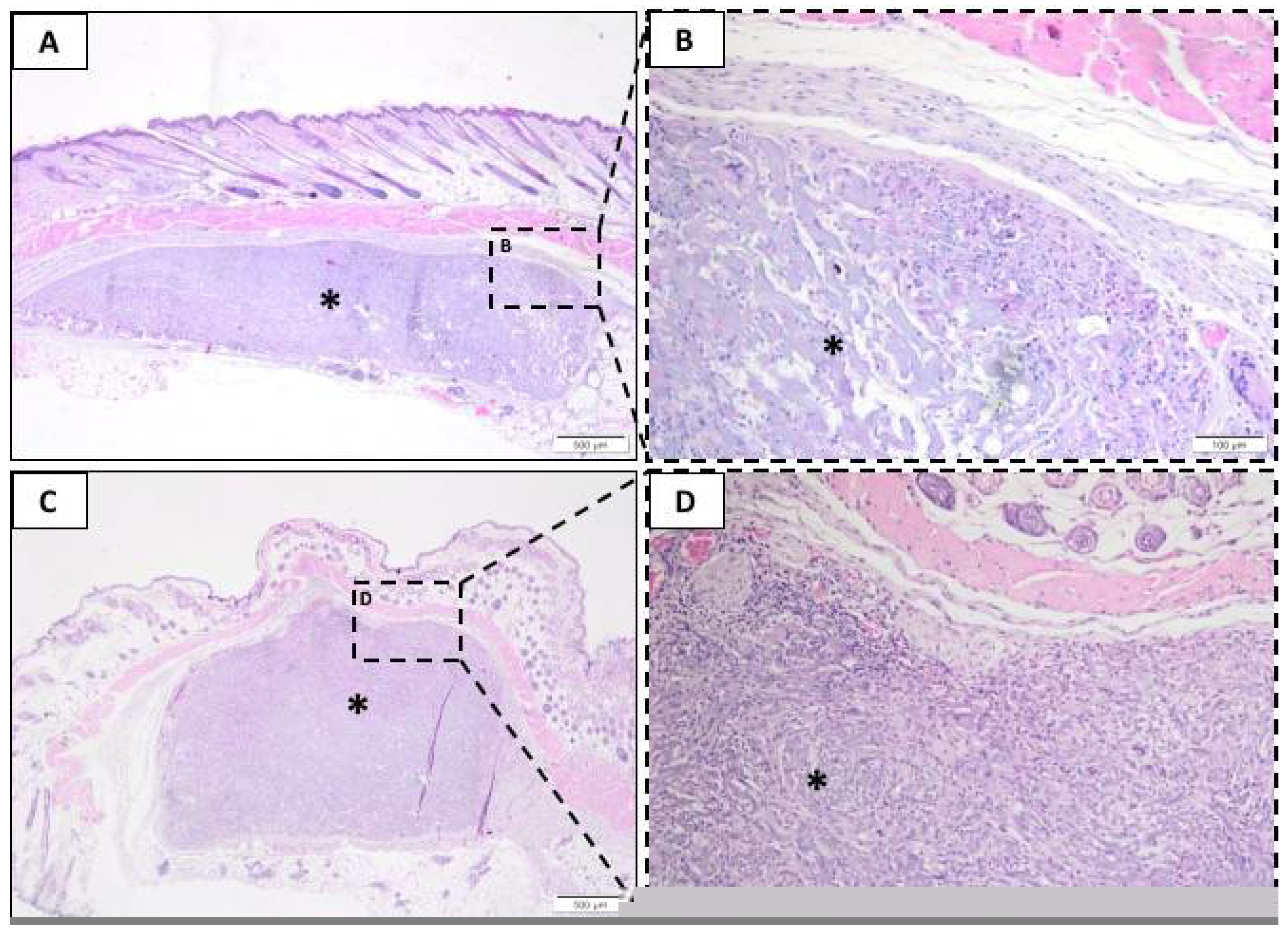 Membranes 10 00423 g003 Membranes 10 00423 g003